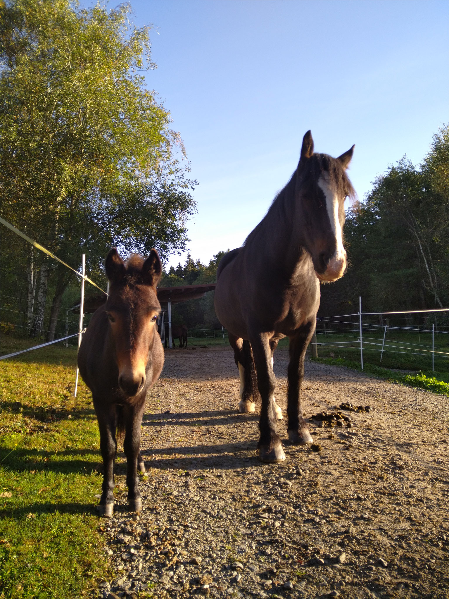 Morgens auf dem Trail