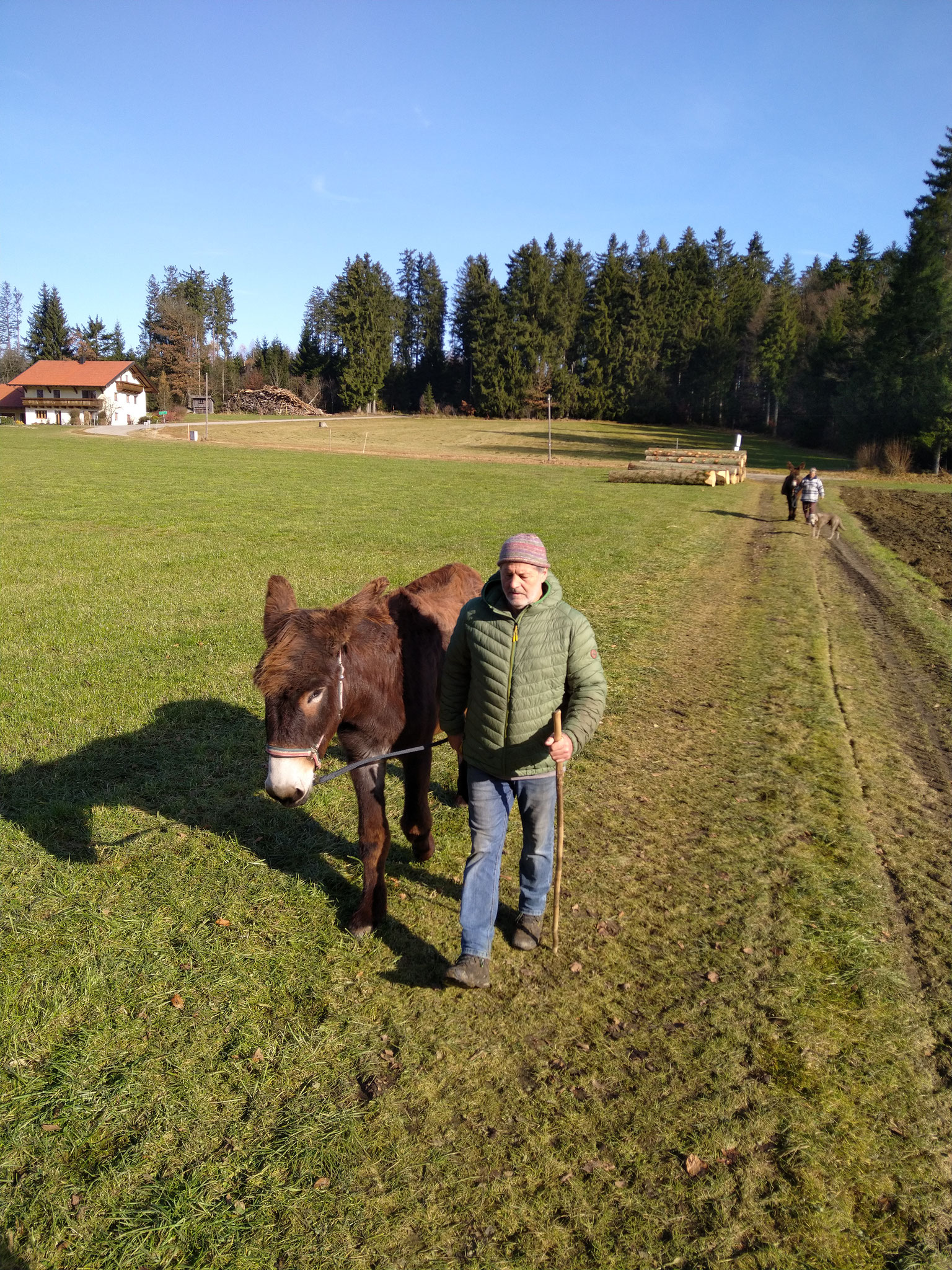 Stallausflug im November