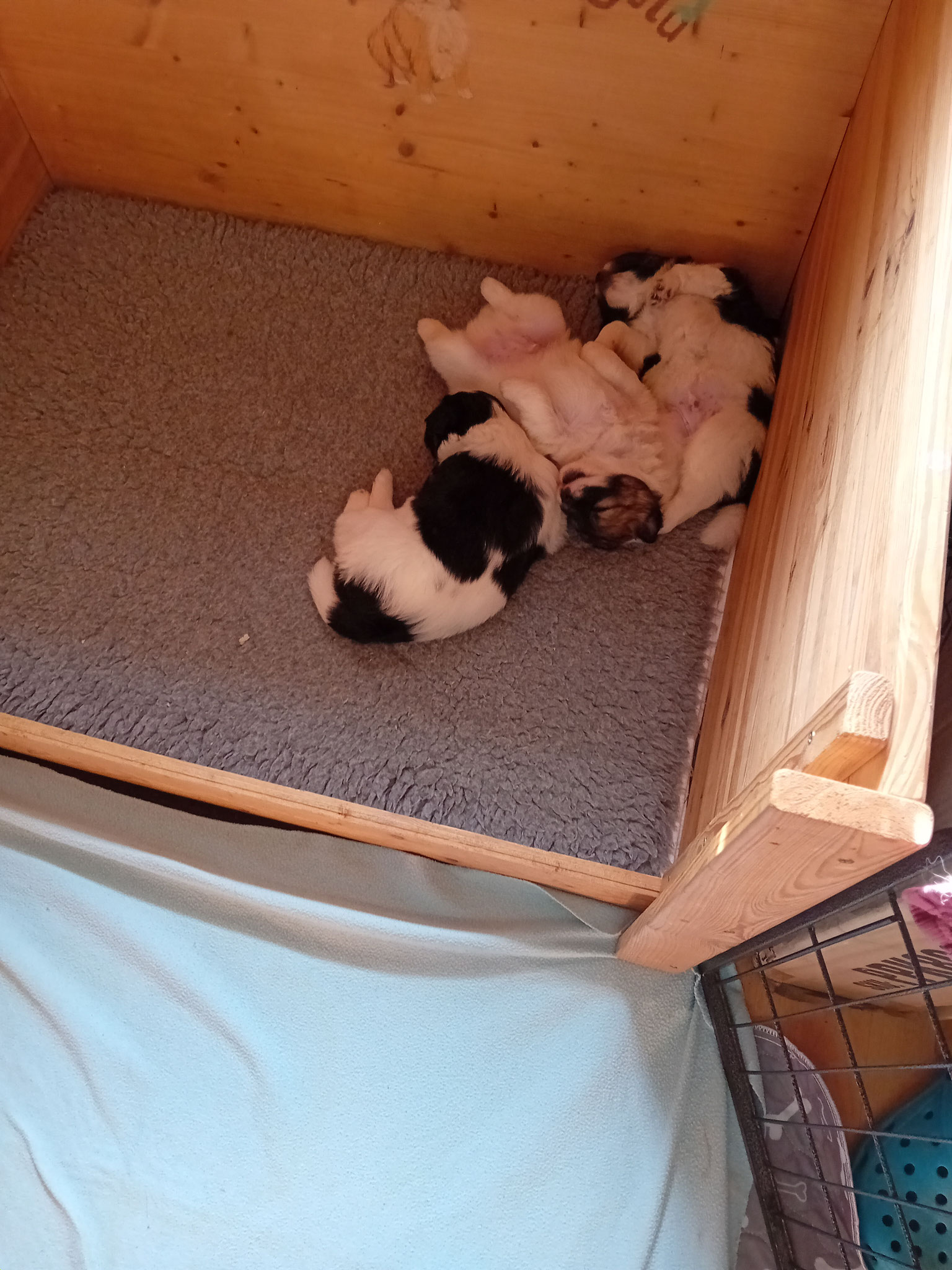 Gruppenkuscheln