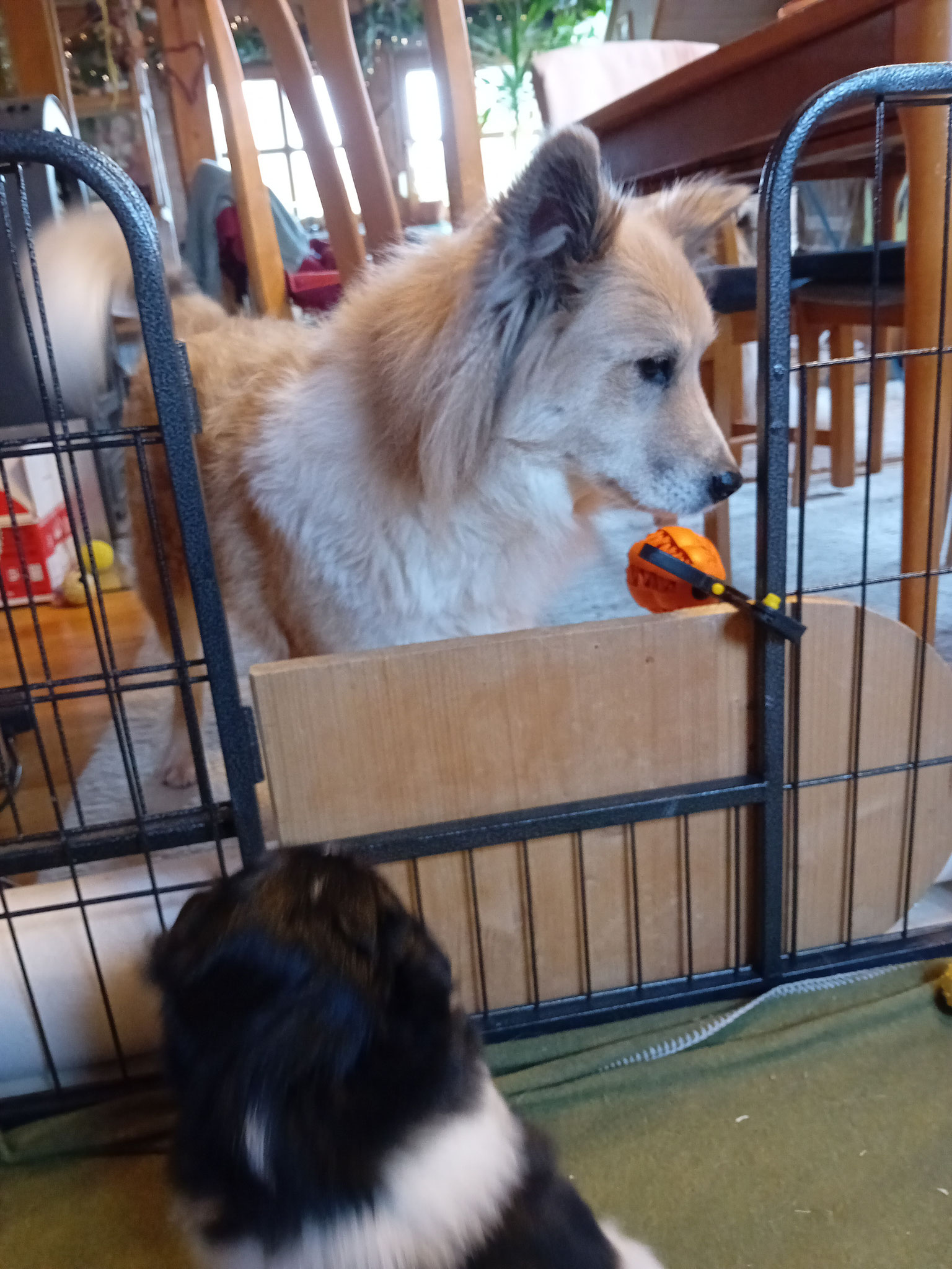 Tante Maisie schaut vorbei
