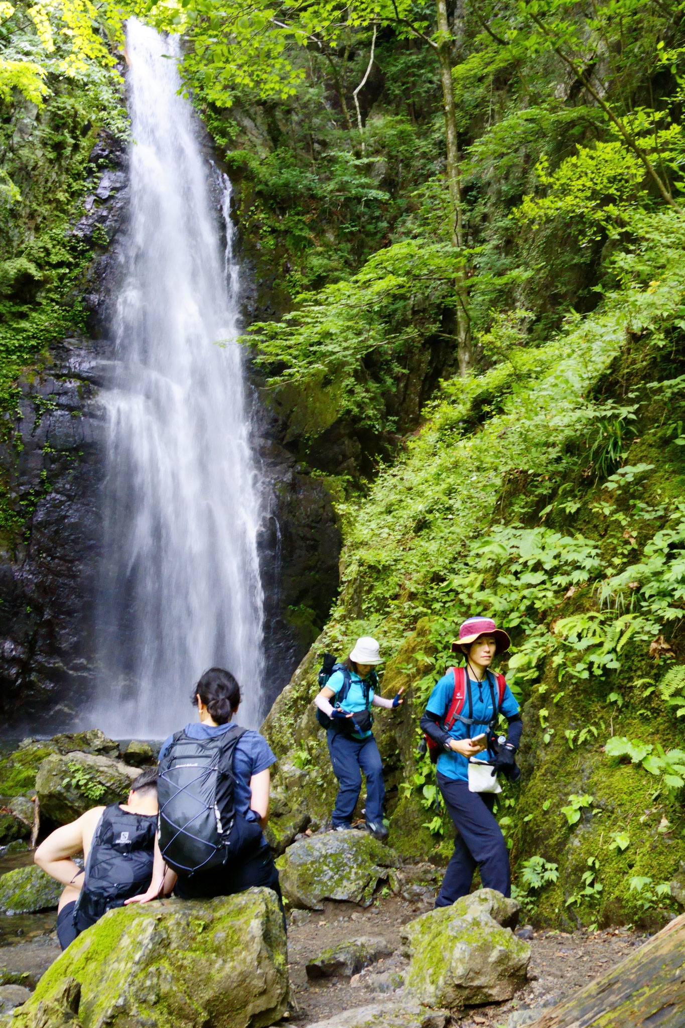 ＜川苔山＞百尋の滝で一息