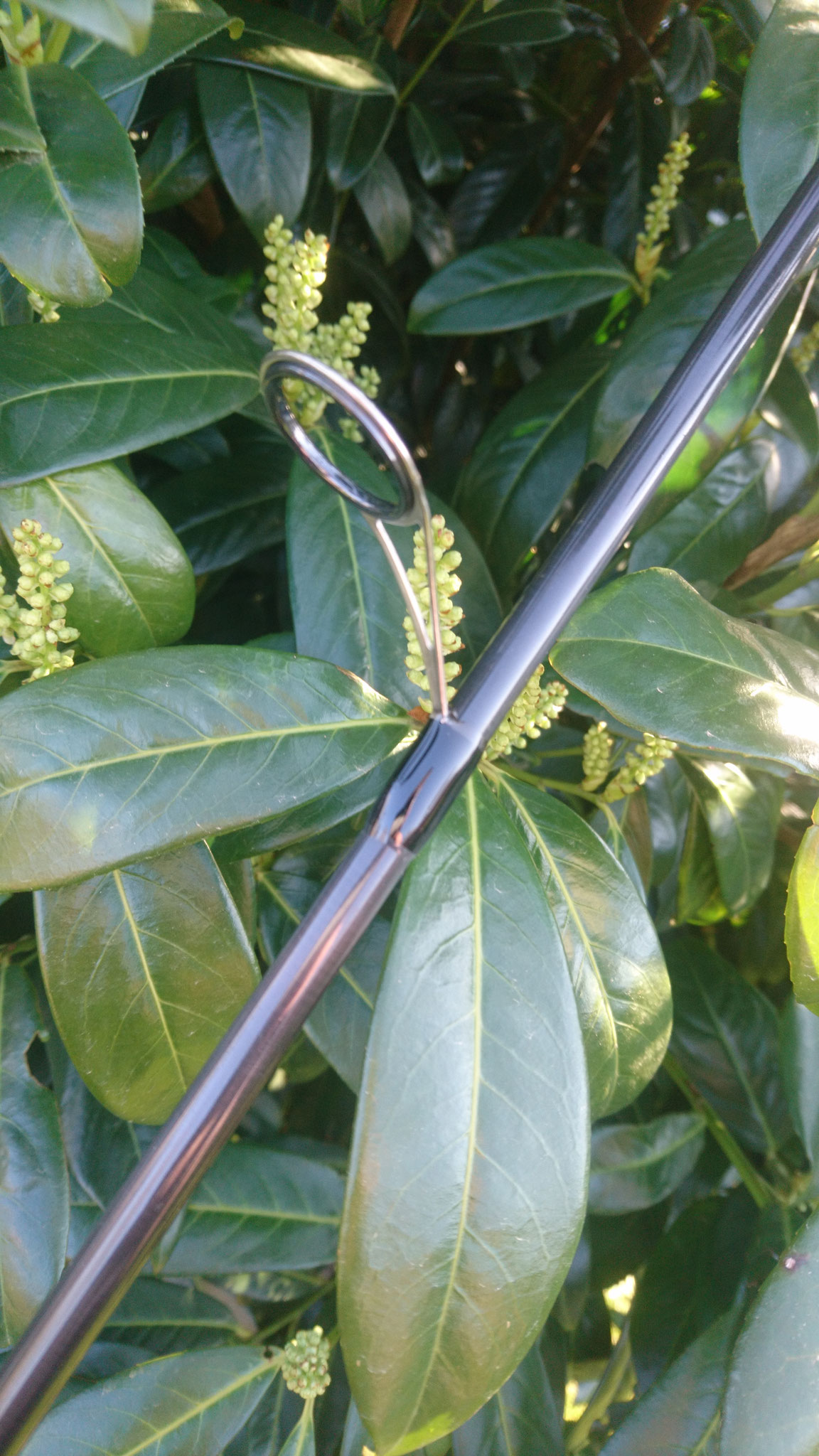 Northtackle MeFoSpin