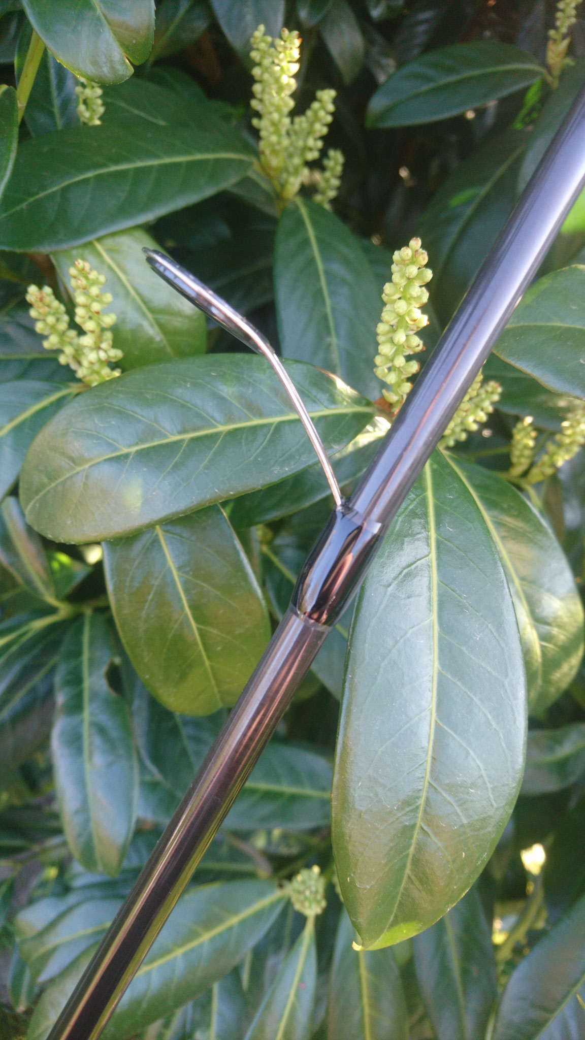 Northtackle MeFoSpin