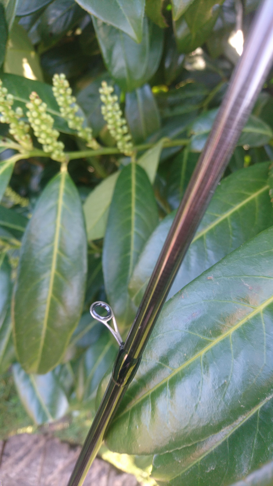 Northtackle MeFoSpin