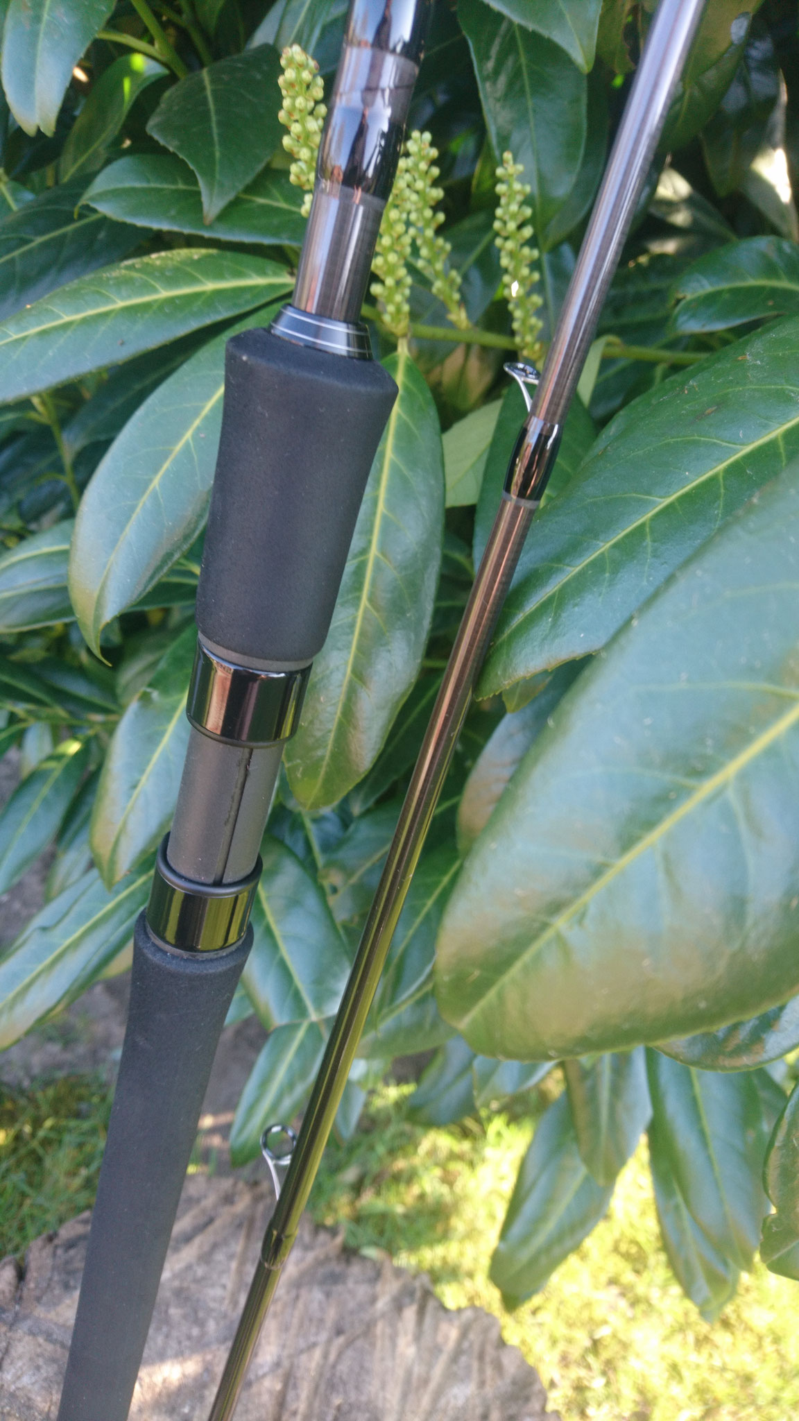 Northtackle MeFoSpin