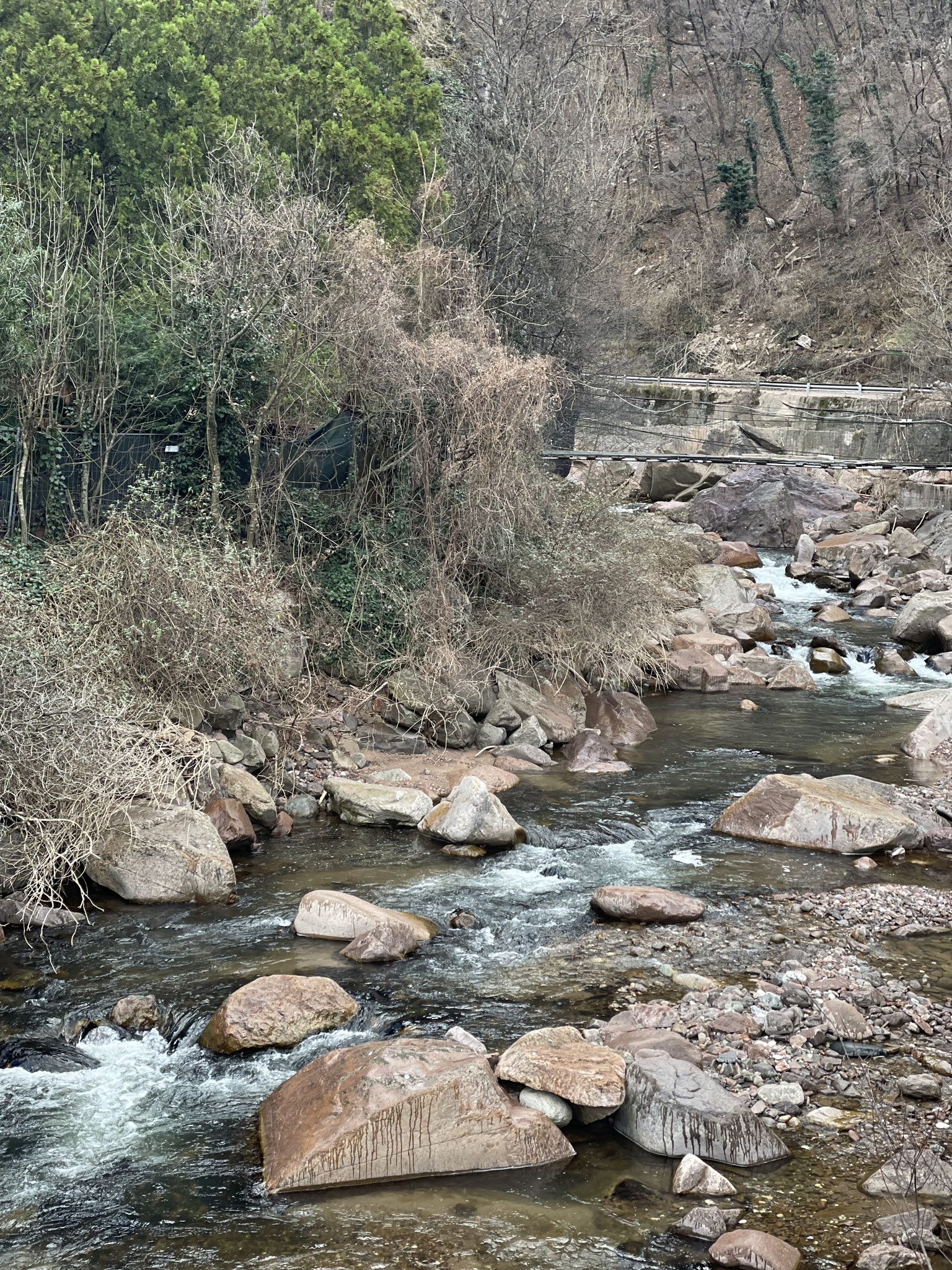 Bolzano fishing_pesca a mosca_toni falduti