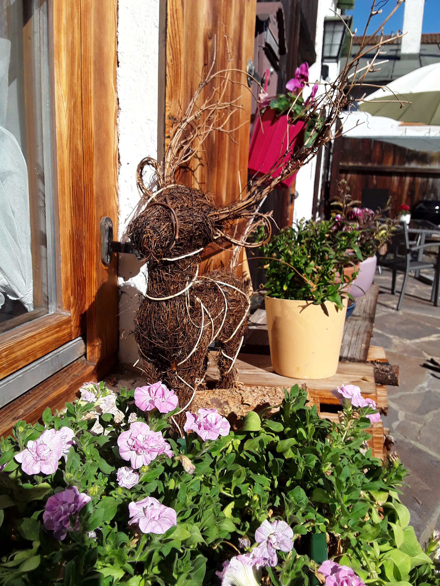 Terrasse 