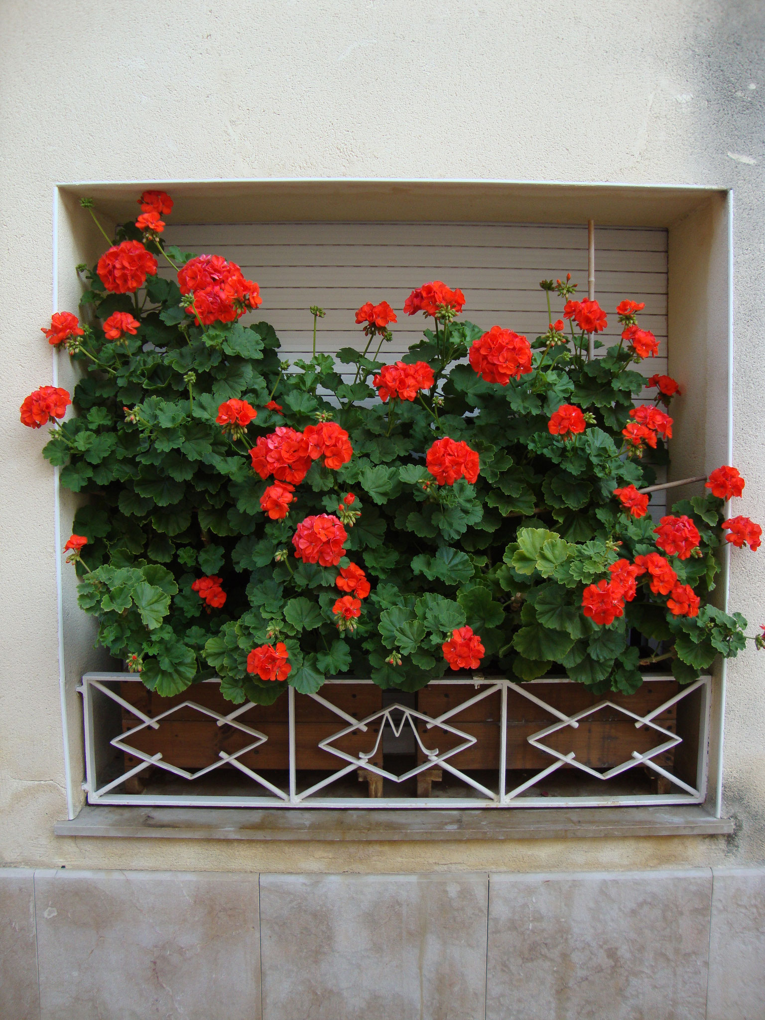 jardineras