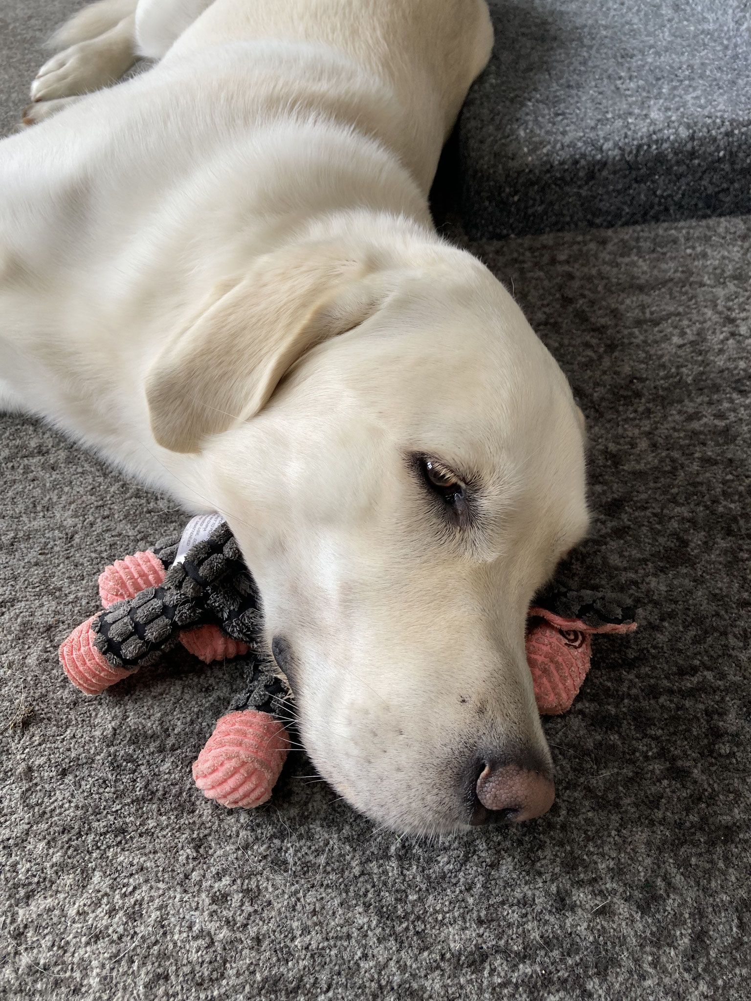 mit Kopfkissen gehts besser