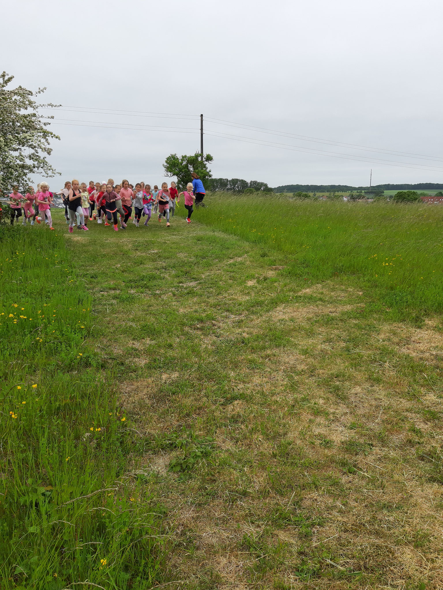 Crosslauf-Eindrücke Klasse 1