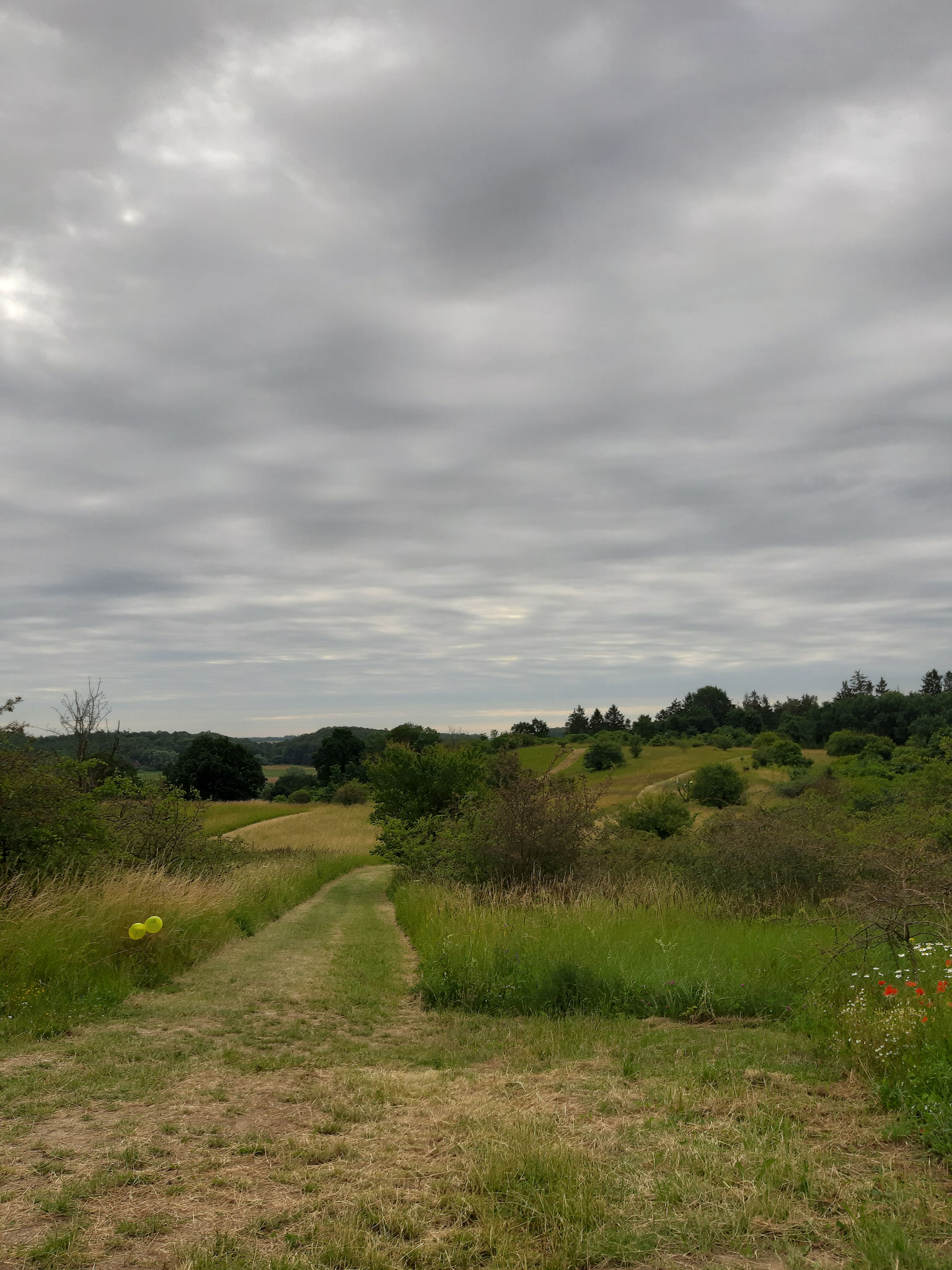 Laufstrecke - Start