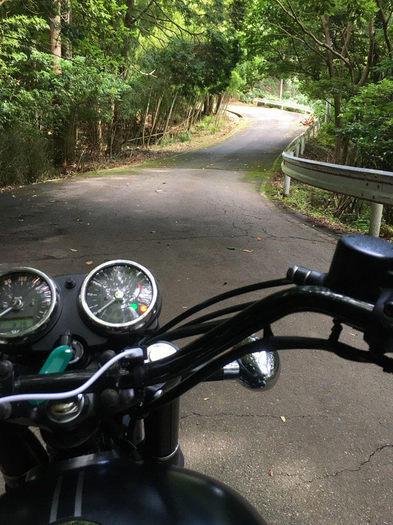 P-14 最後の山中 名もなき道
