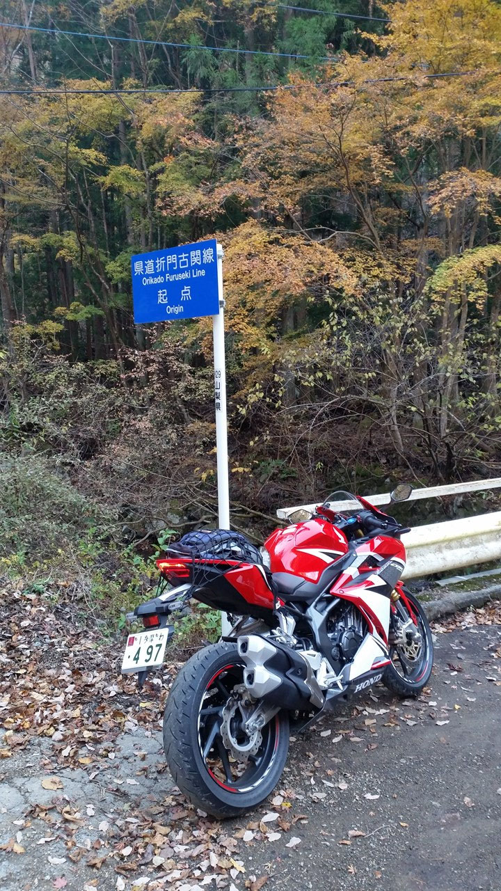 林道３