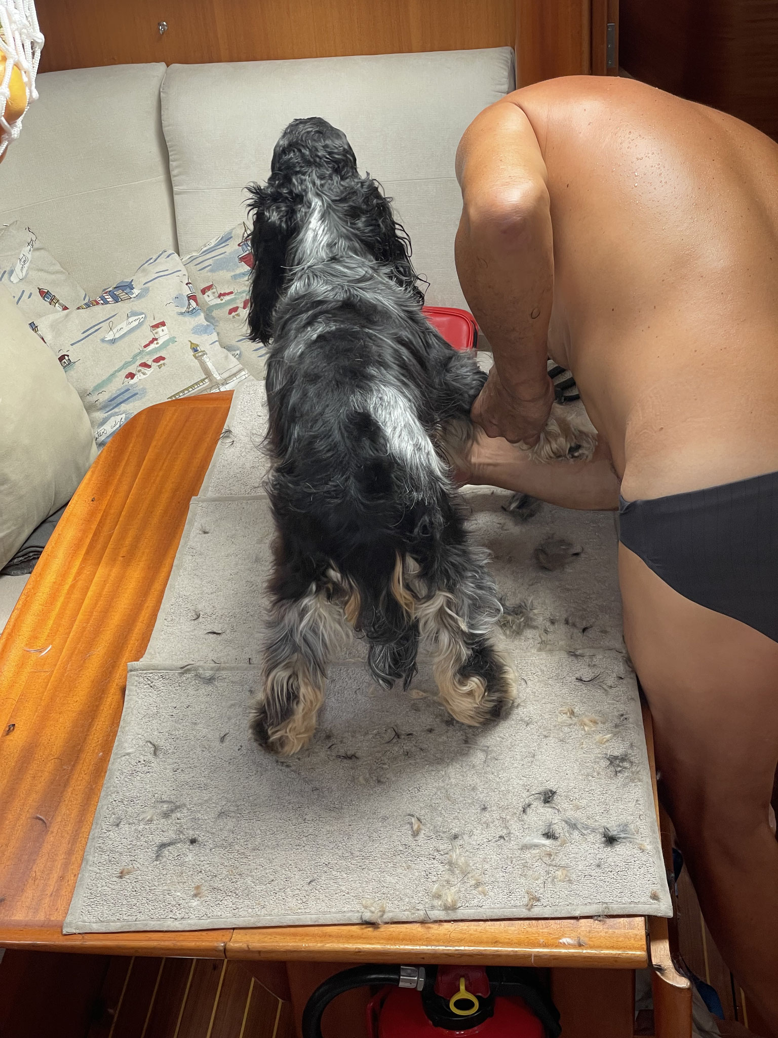 Berry beim Hundefriseur