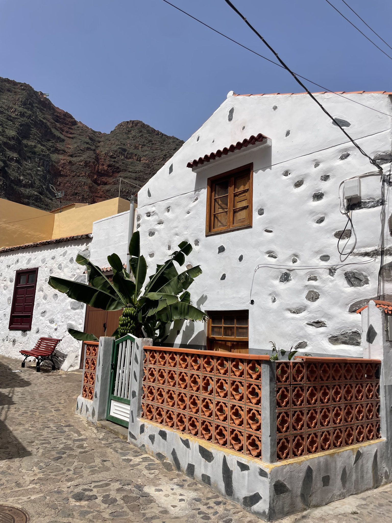 Bananenstaude im Vorgarten :-)