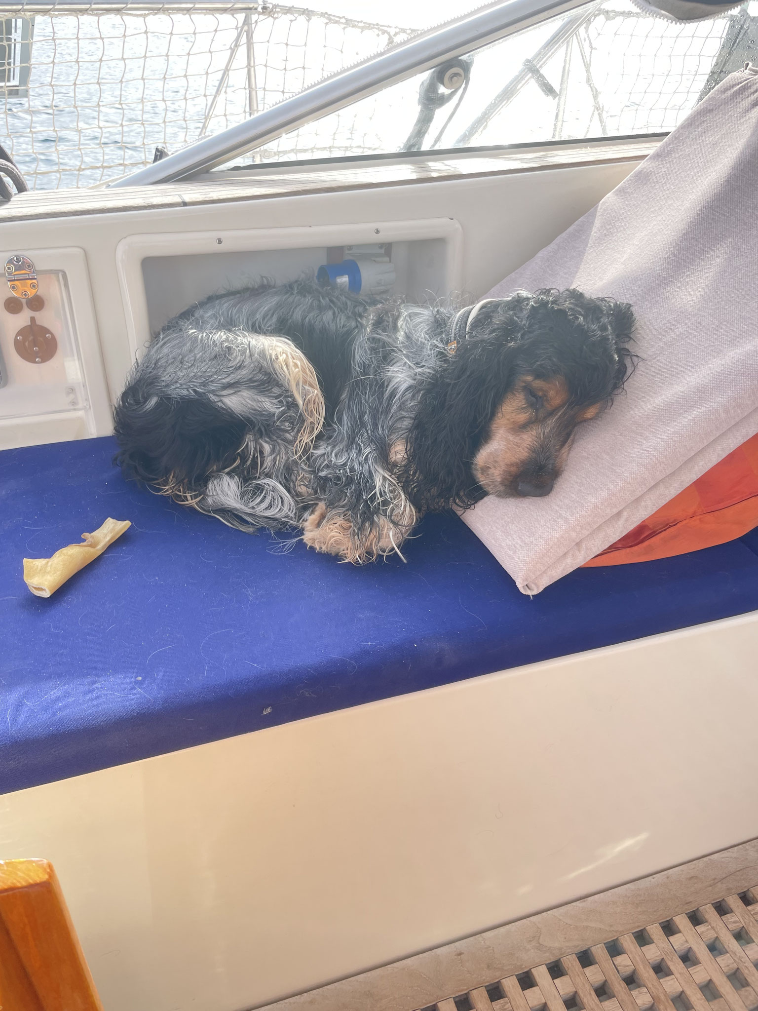 "Prinz auf der Erbse" Berry chillt nach dem Strandspaziergang