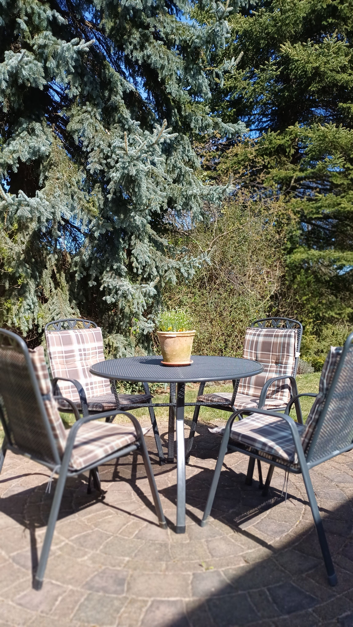 Terrasse Fewo DG
