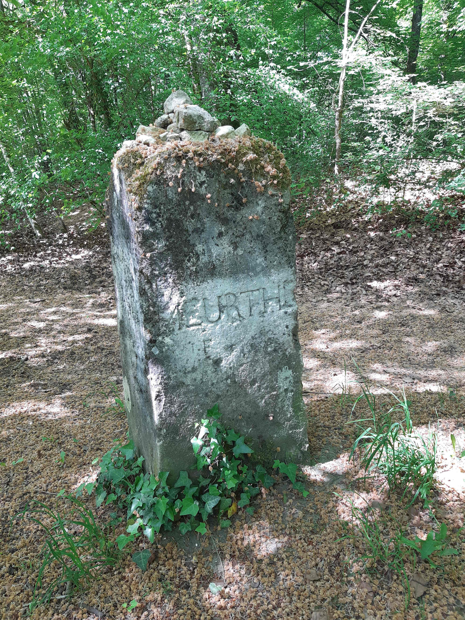 Borne entre Choloy Ménillot et Rigny Saint Martin