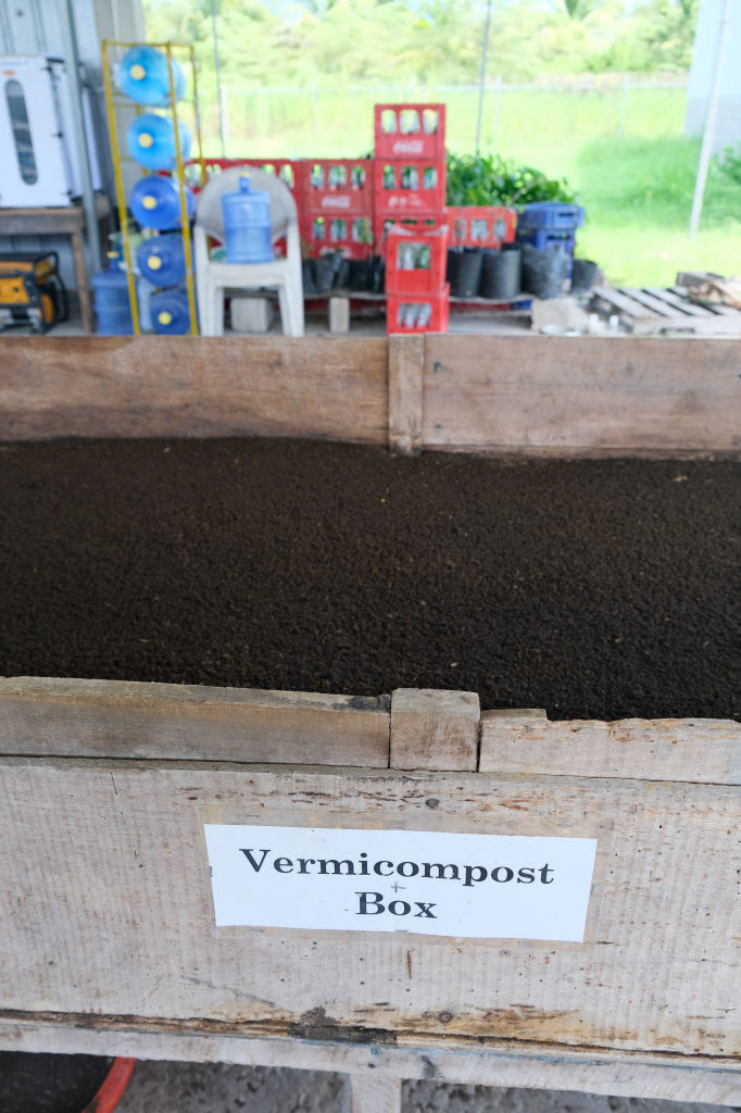 Wurmkompost - selbst hergestellter Biodünger