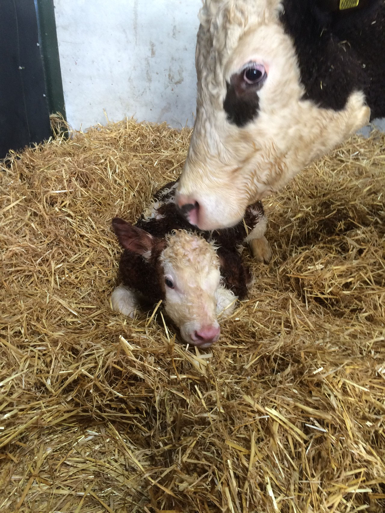 Samantha with her son Smartie