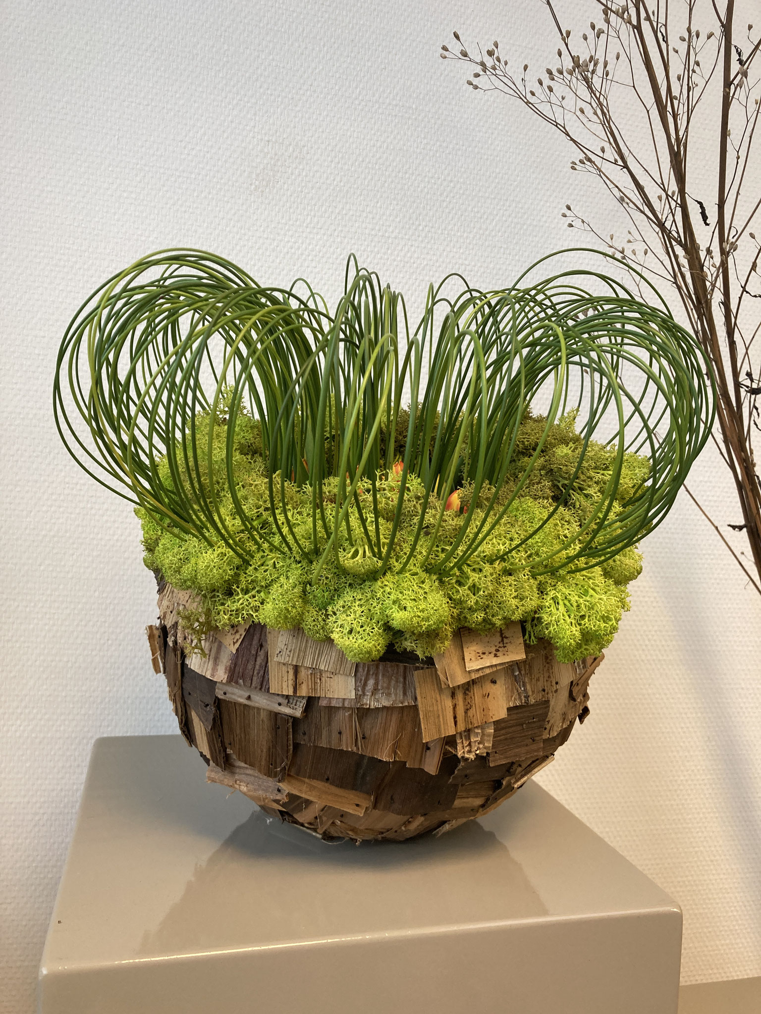 Warm nest
