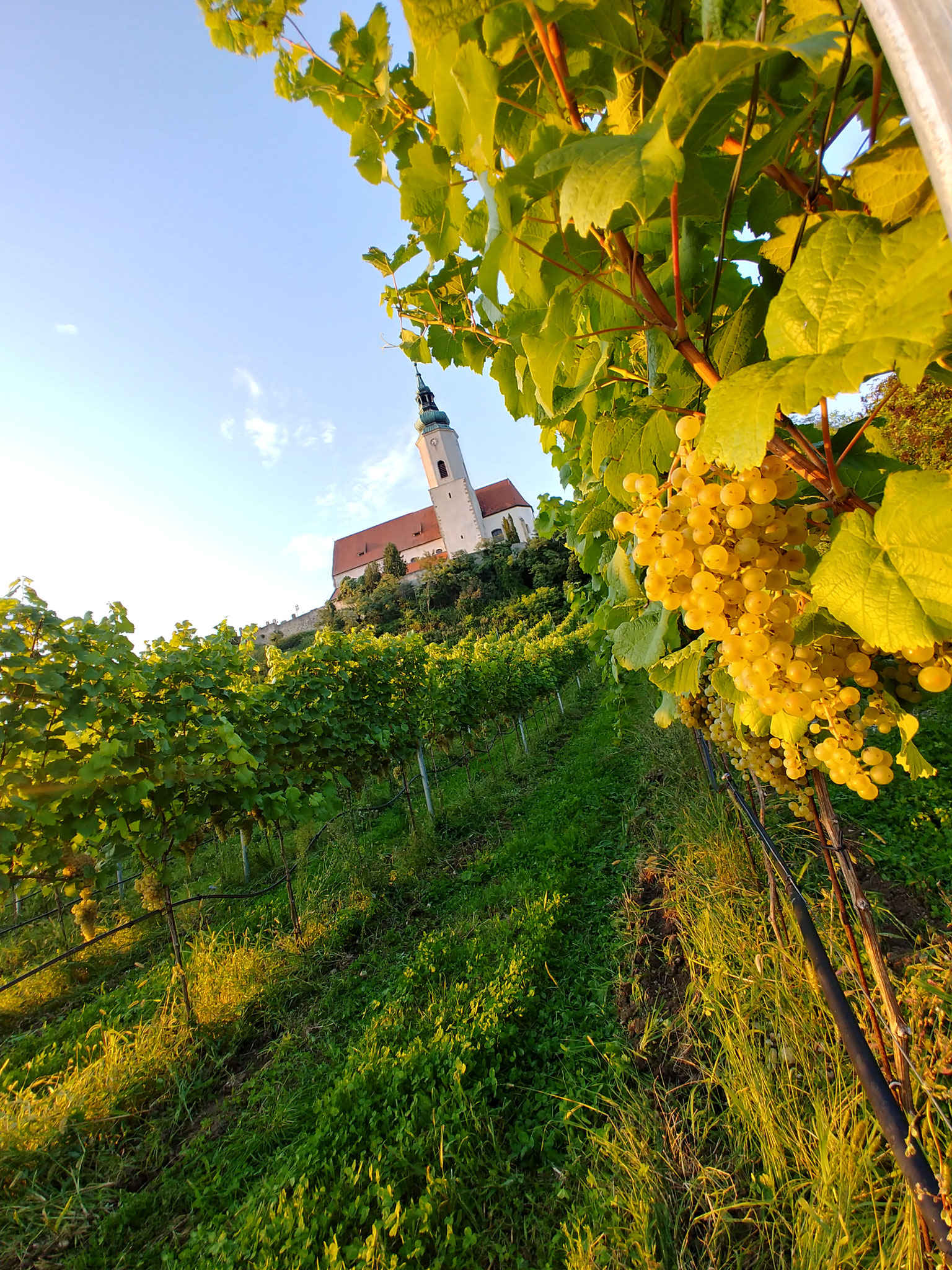 Natur. Lage. Wein.