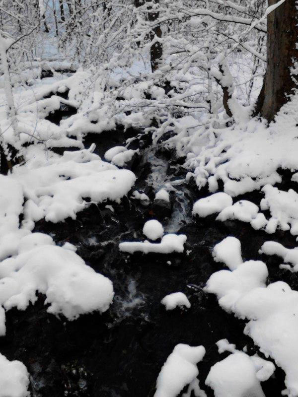 Holzbachschlucht