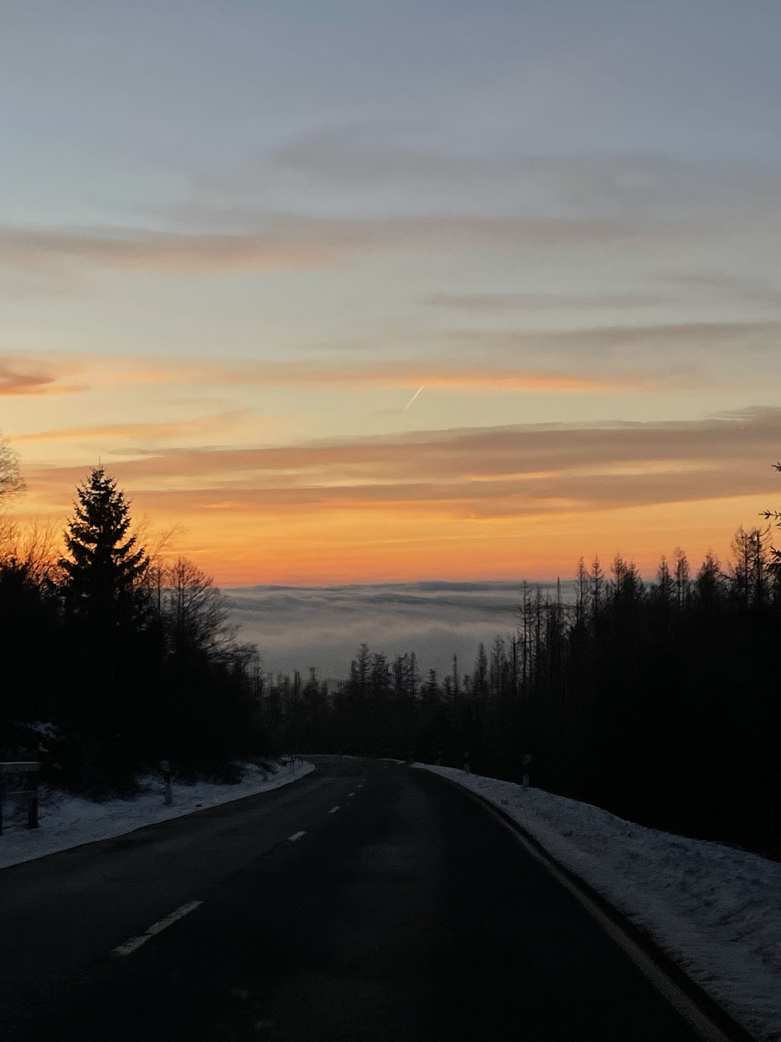 ⛰️ Im Harz waren wir regelrecht über den Wolken.