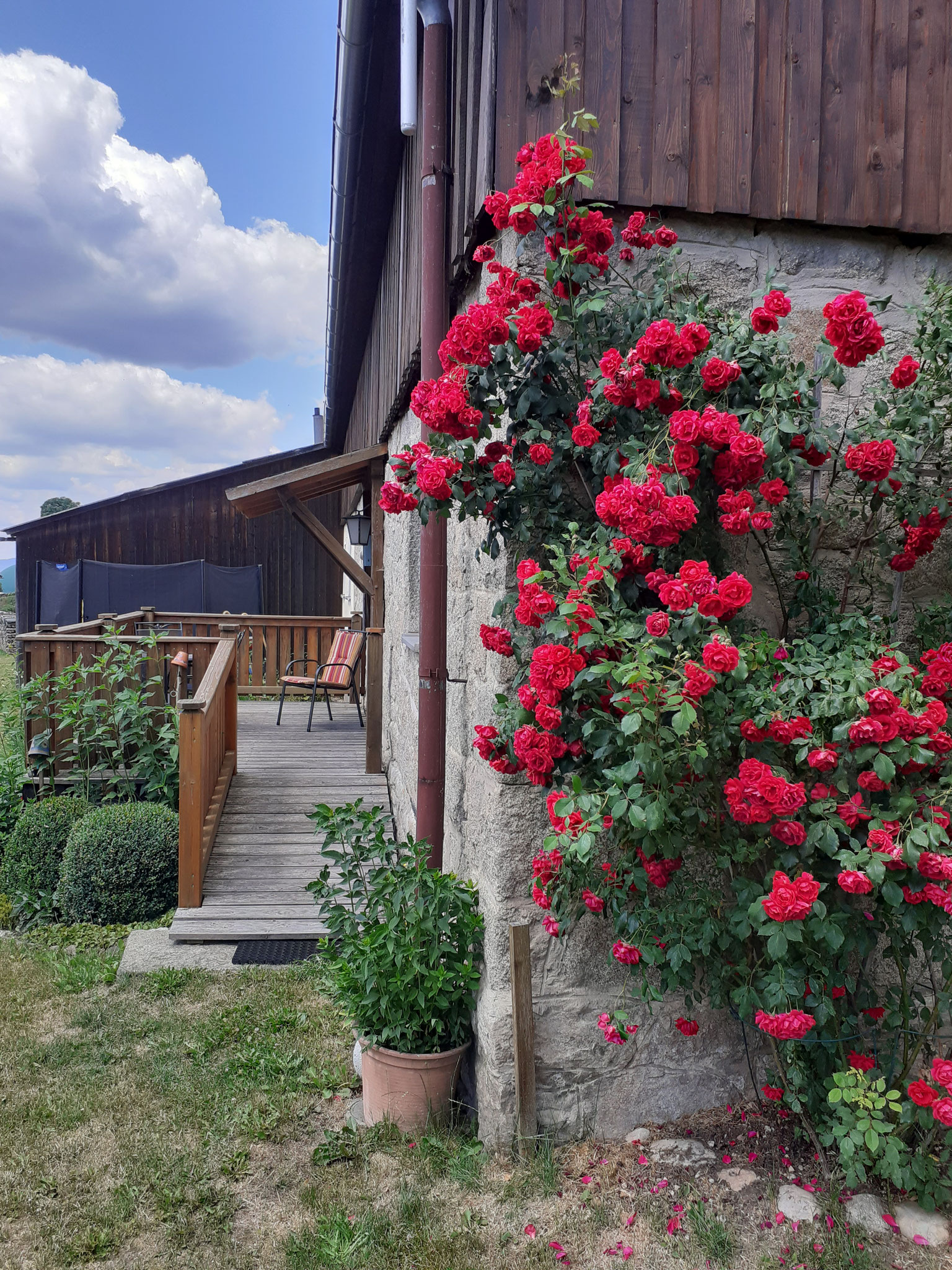 Terrasse