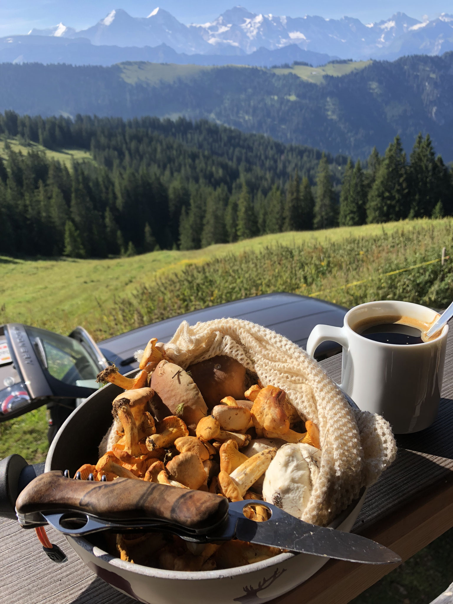 Eierschwämme