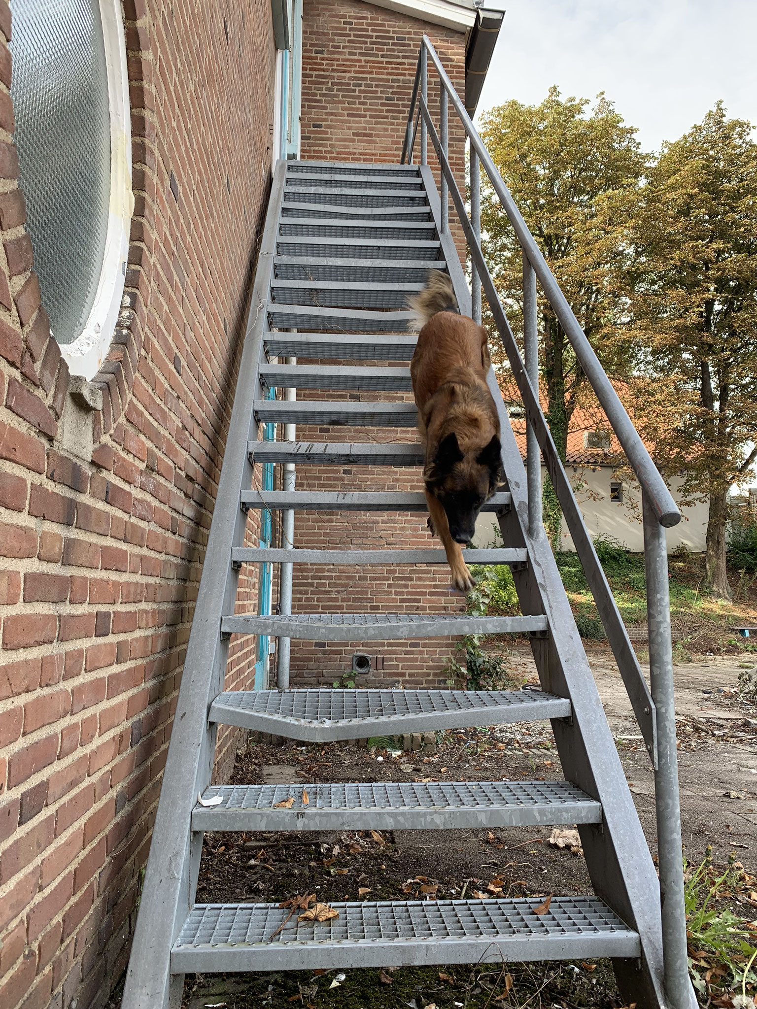 Donder tijdens een zoekoefening (gebouwen-training)