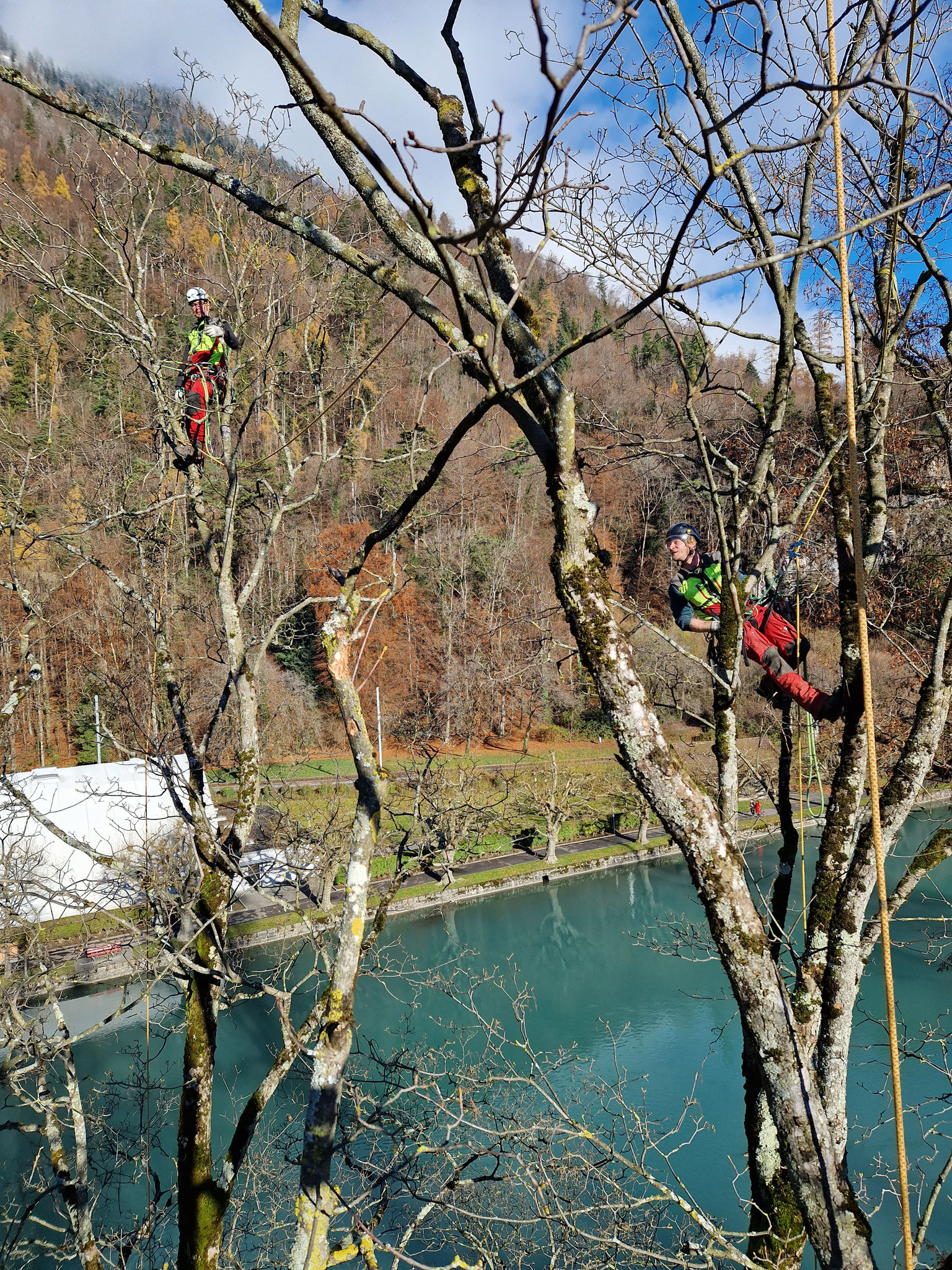Schnittarbeiten mit Aussicht.