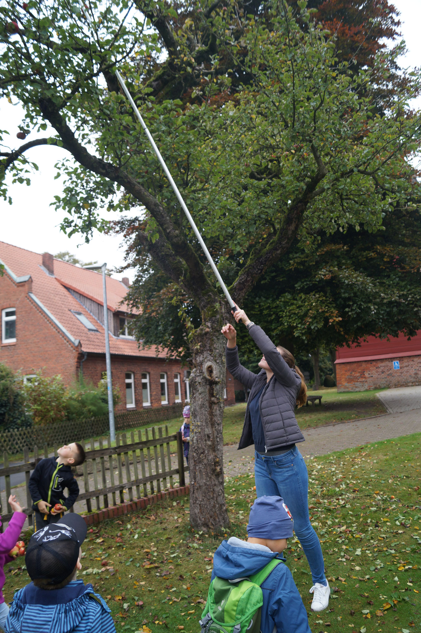 Äpfelpflücken