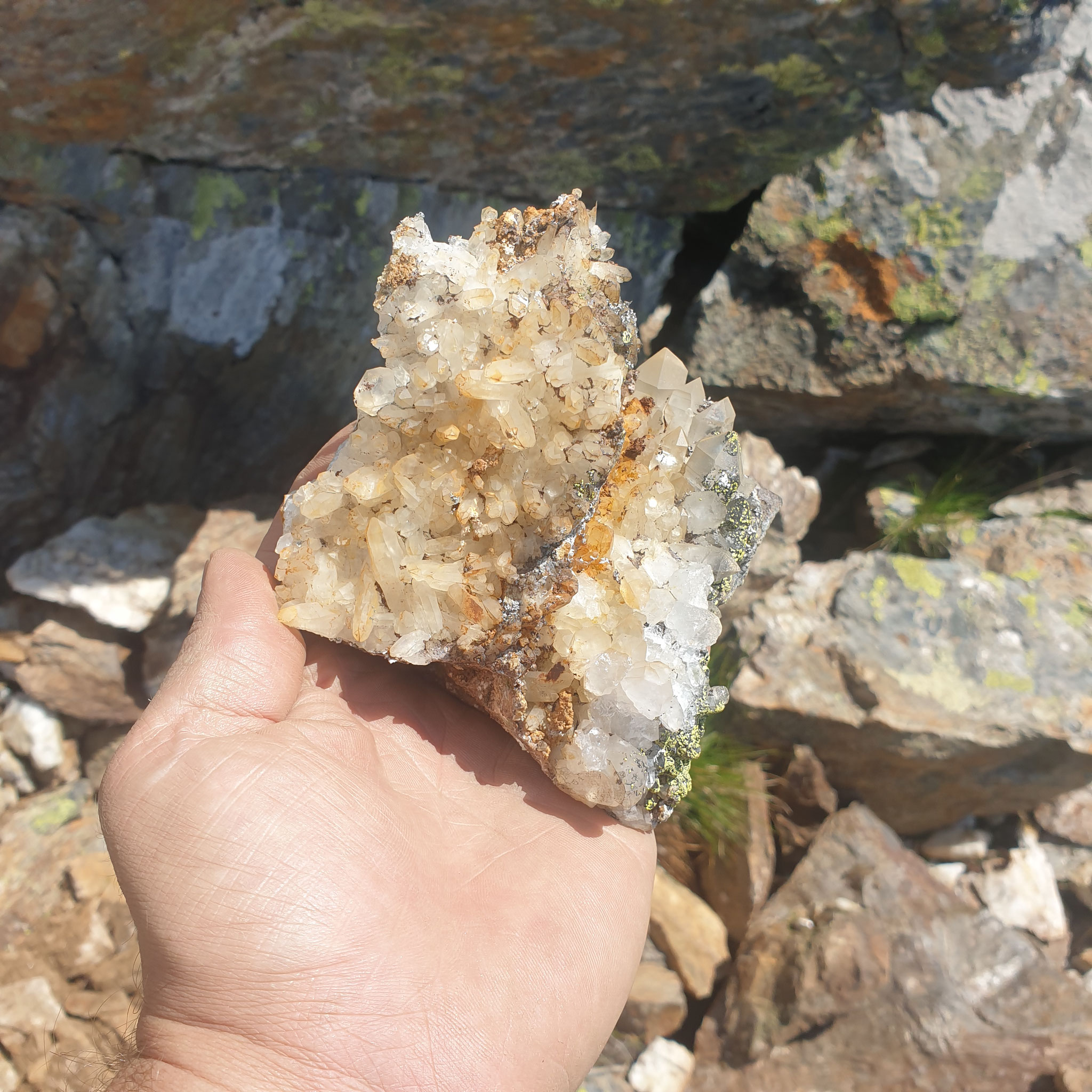 ... fresh collected Rock Crystals, some are sceptered...