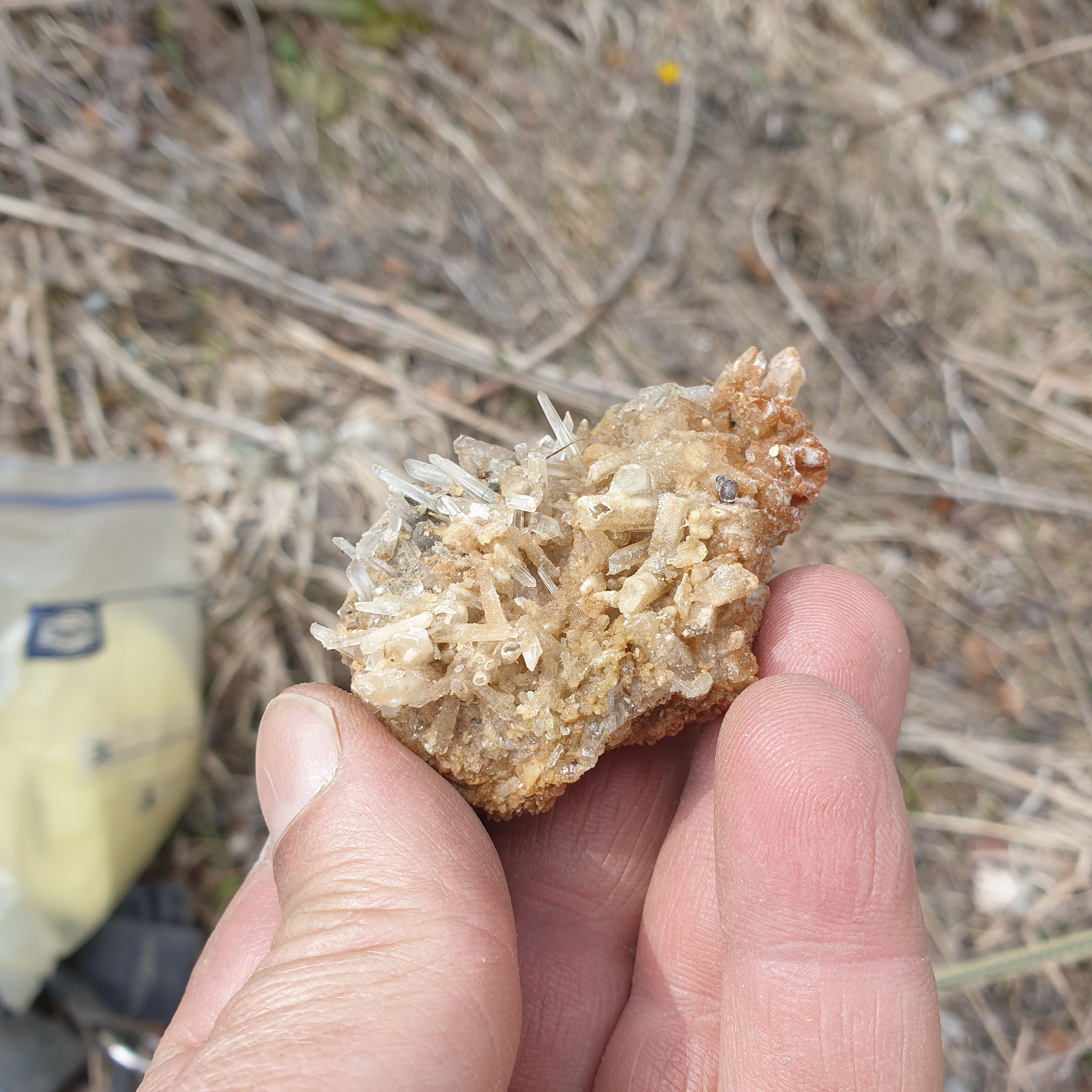 ...some with small Dolomite crystals...
