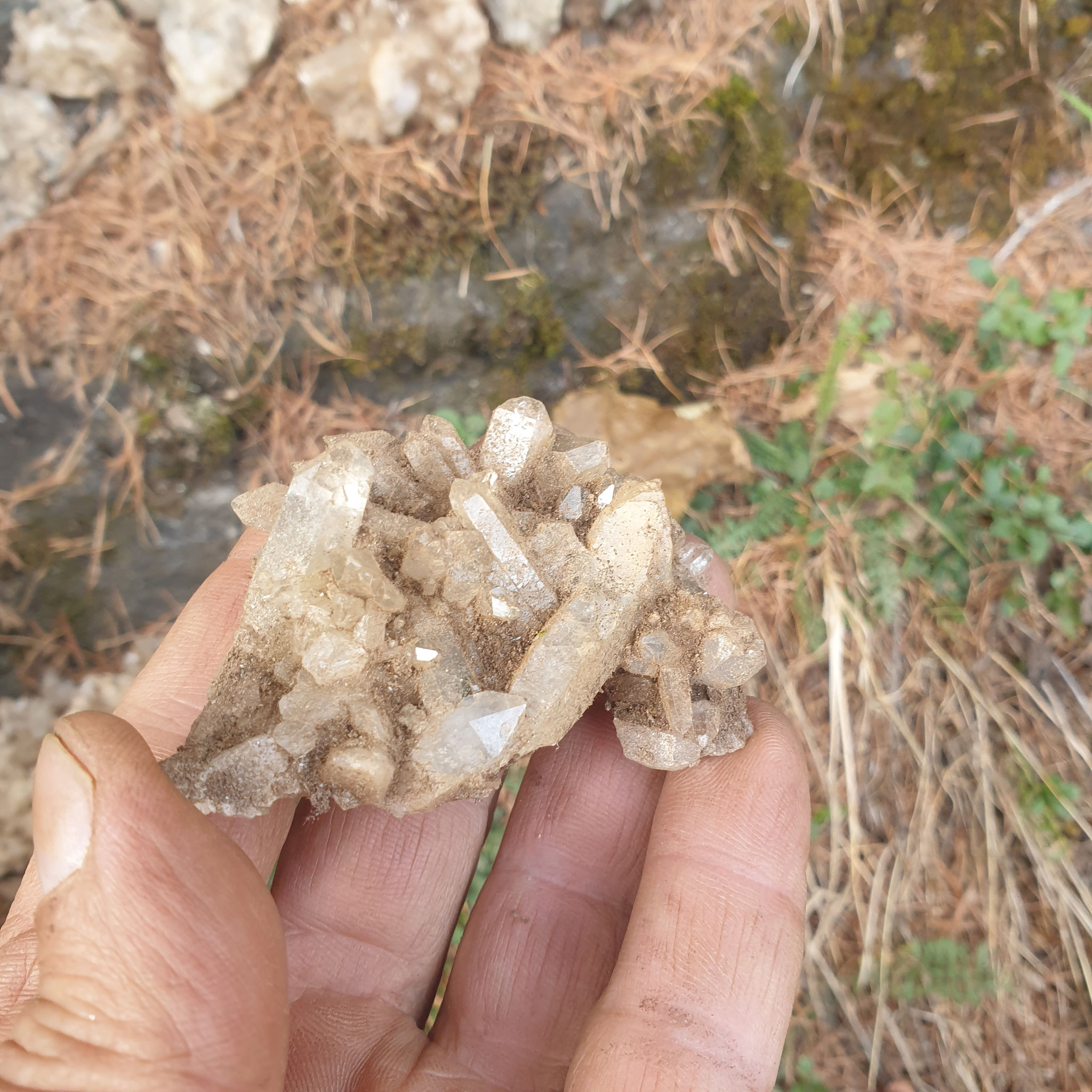 ...small clusters...
