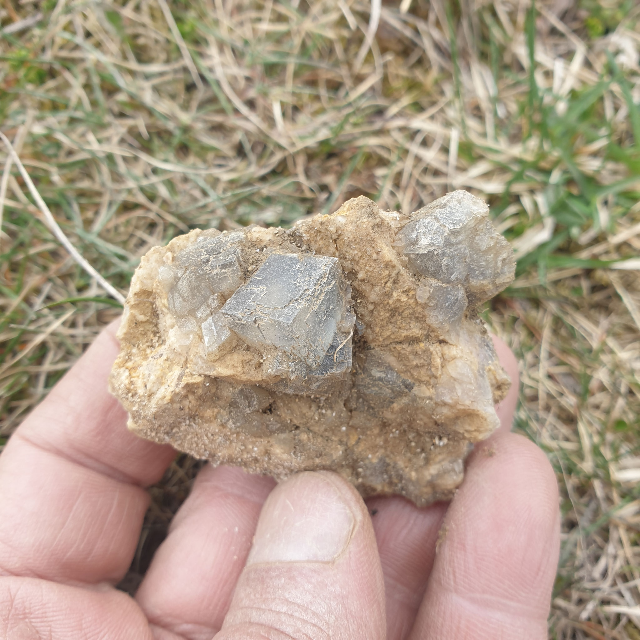 ...crystals on matrix...