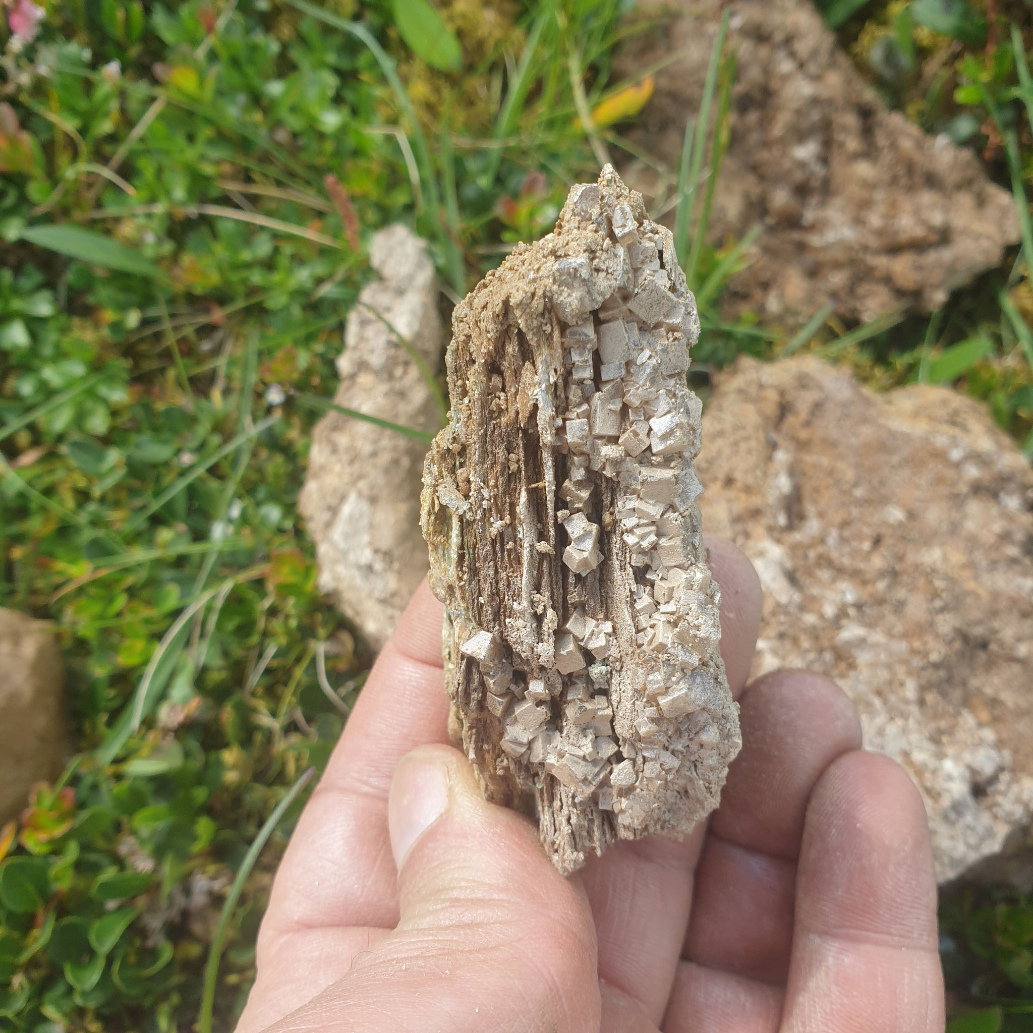 ...specimens with interesting growth...