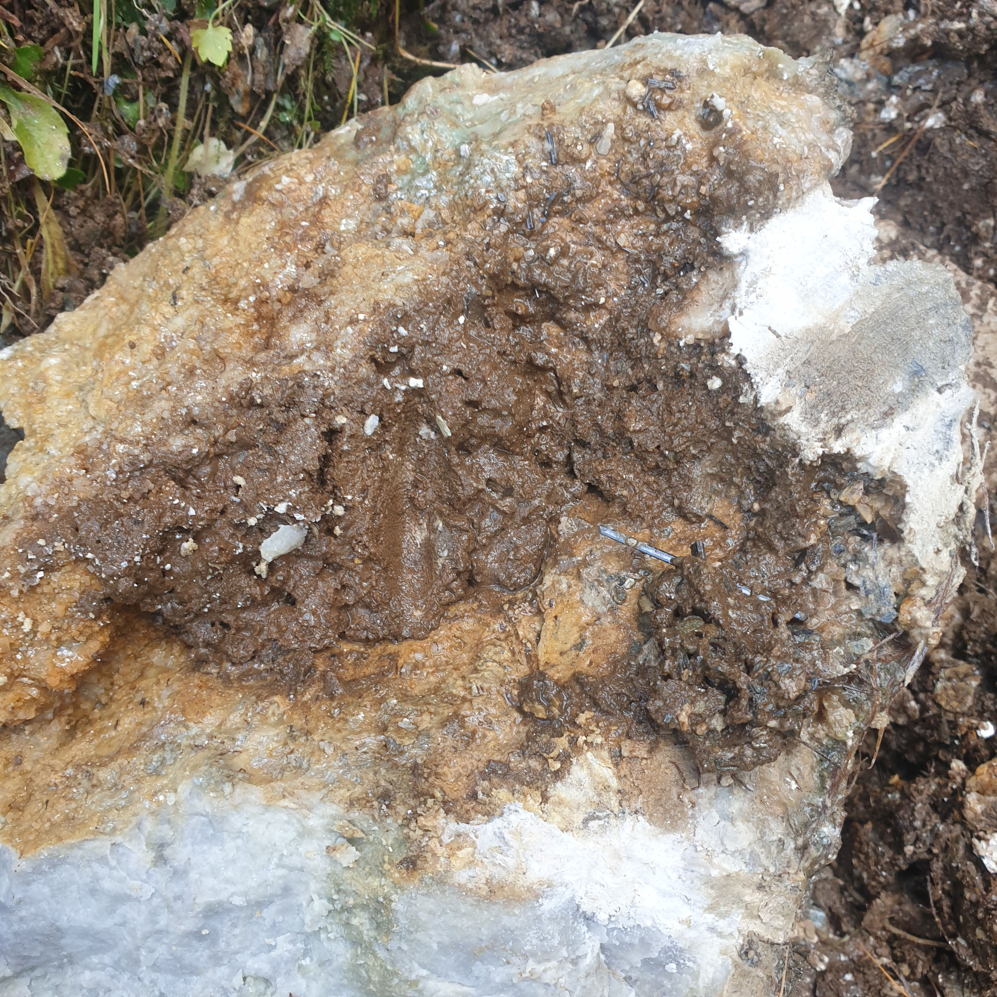 ...can you see it in the dirt?...