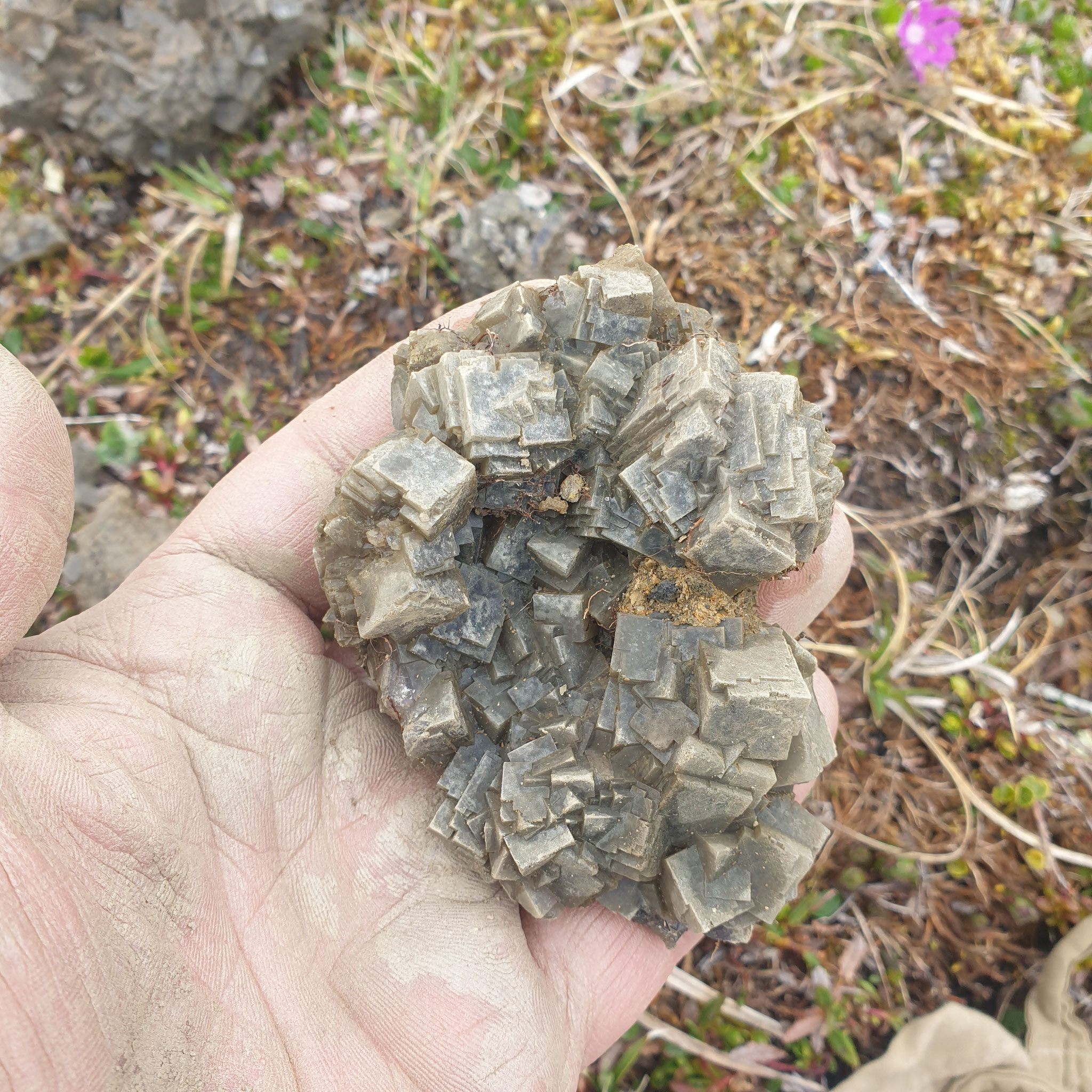 ...pretty cool Fluorite for the first try...