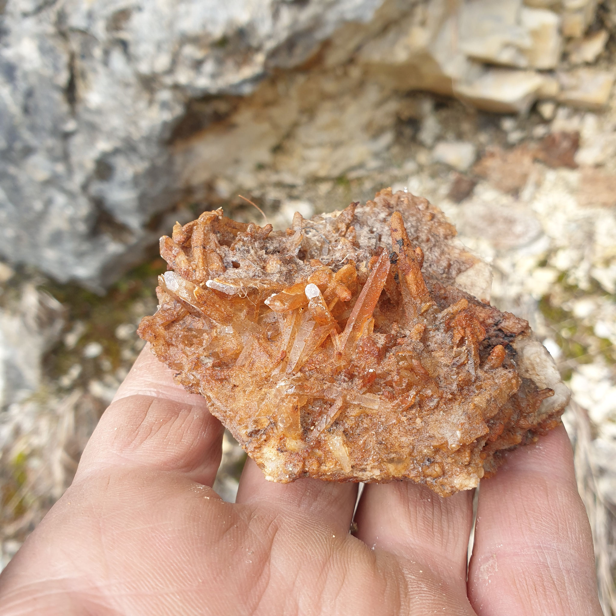 ...but a nice first find in 2023...
