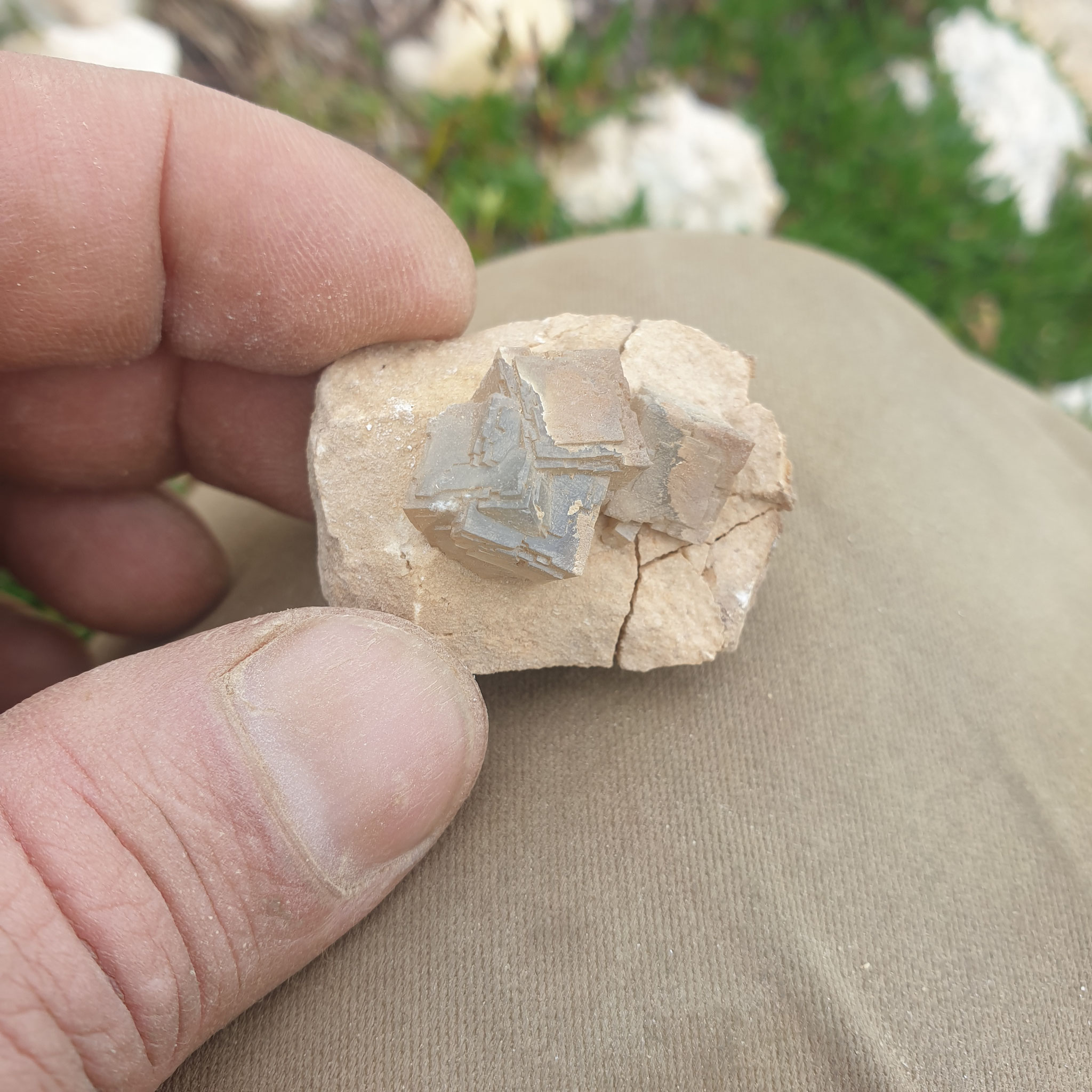...small specimen, but perfect arranged...