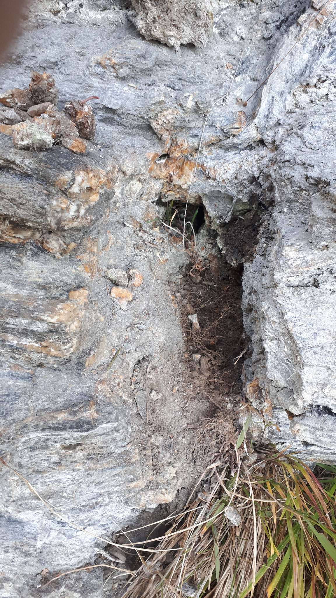 ...at lower elevations, a small cleft...