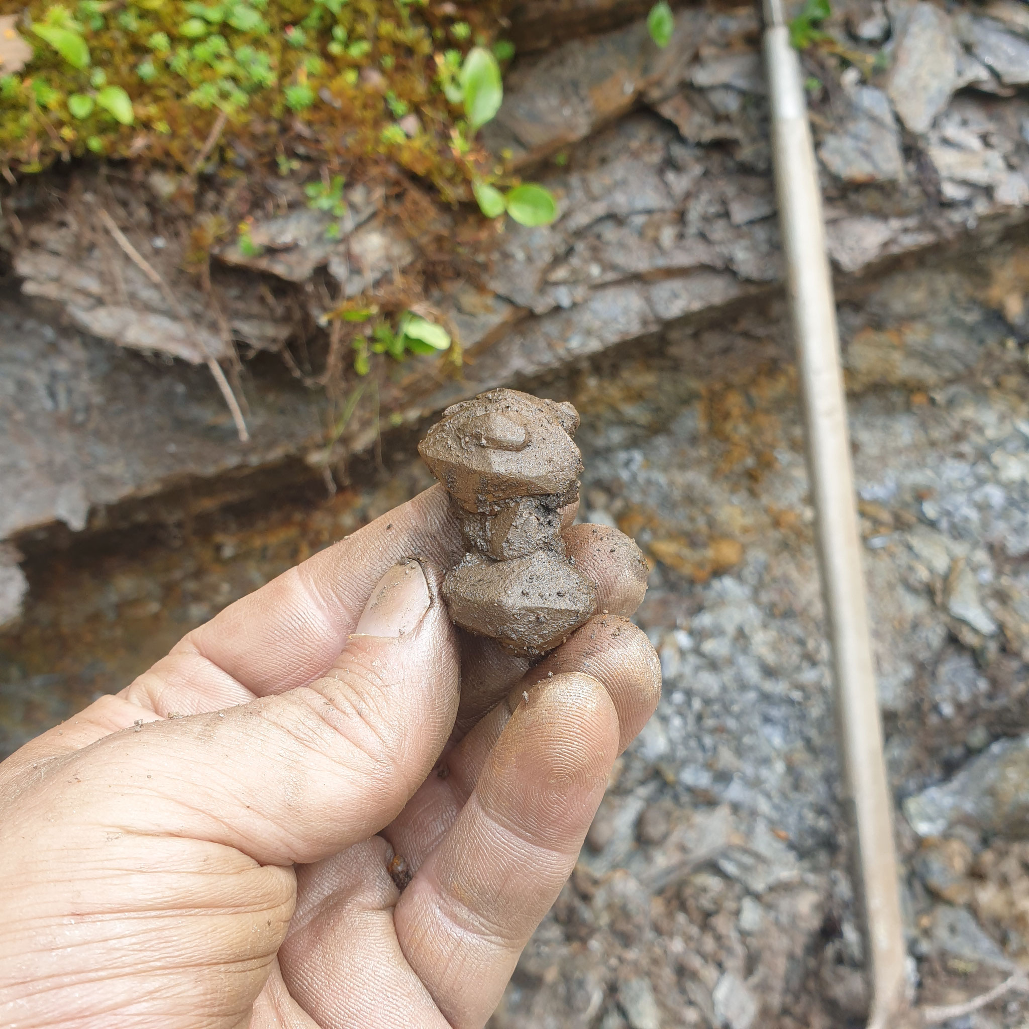 ...found some small specimens...