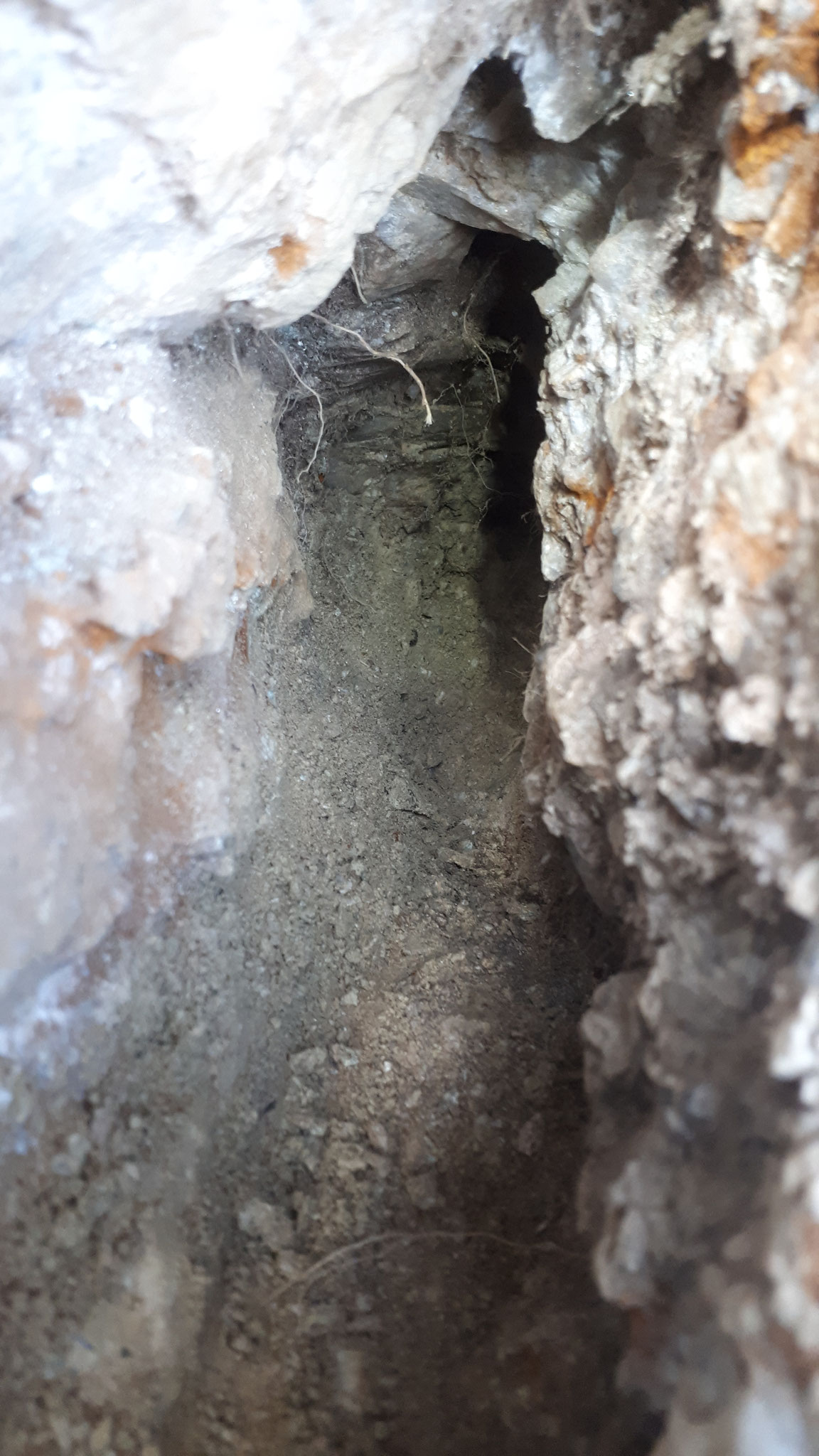 ...at the very back some crystals are hidden...