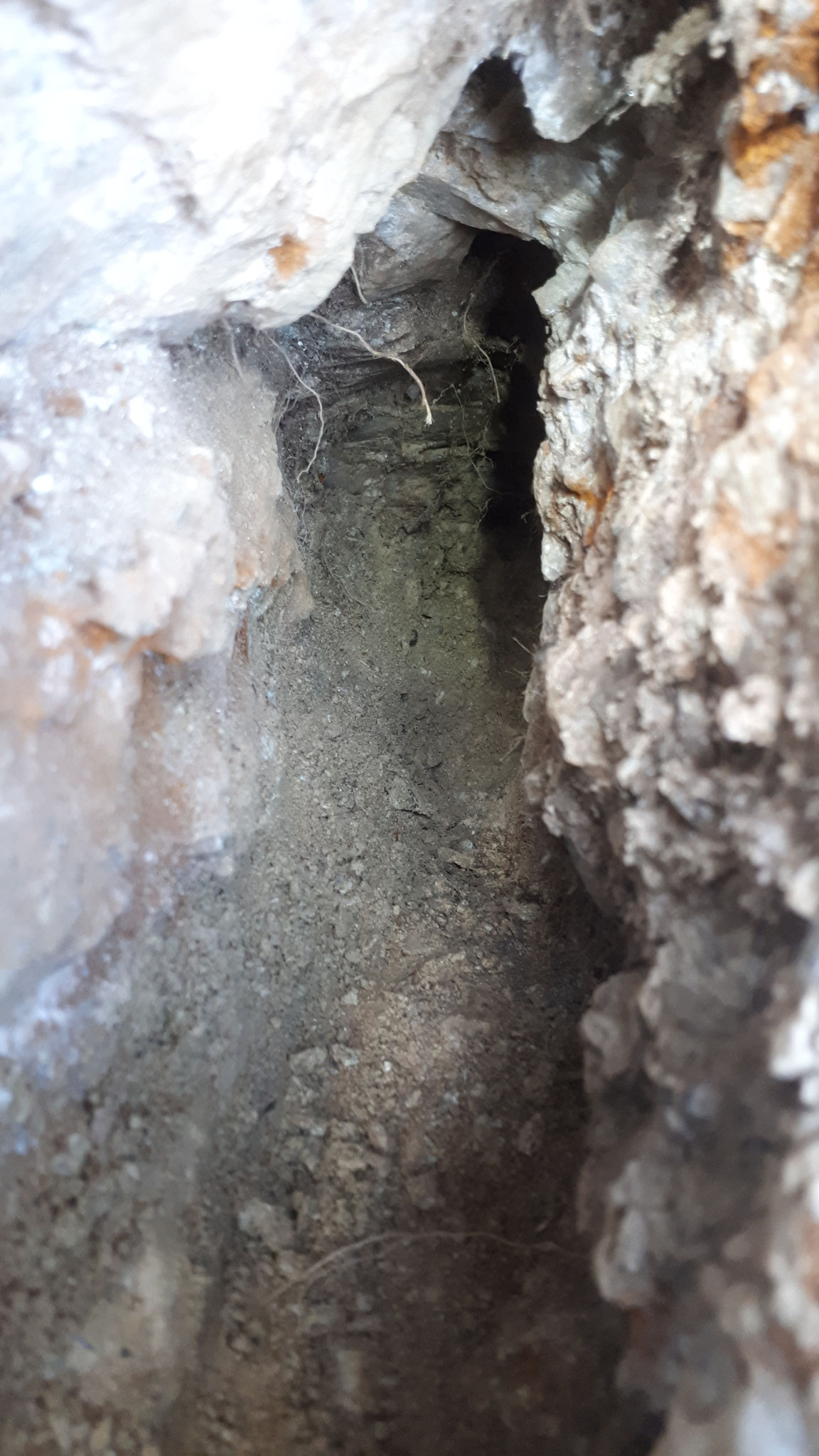 ...at the very back some crystals are hidden...