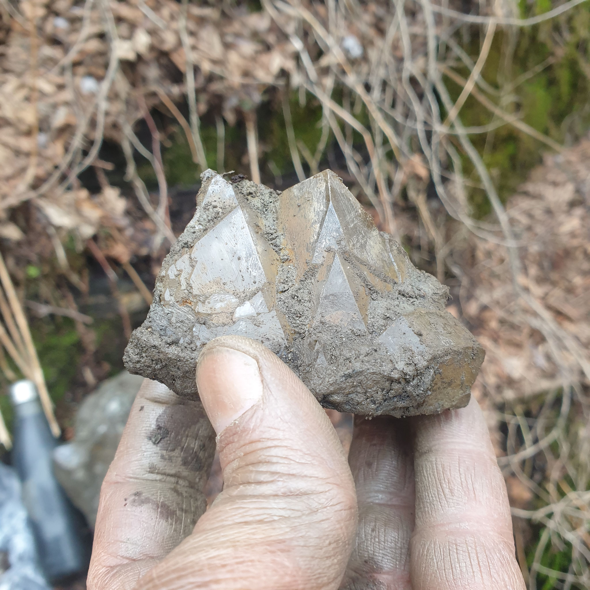 ...the first crystals of the season...