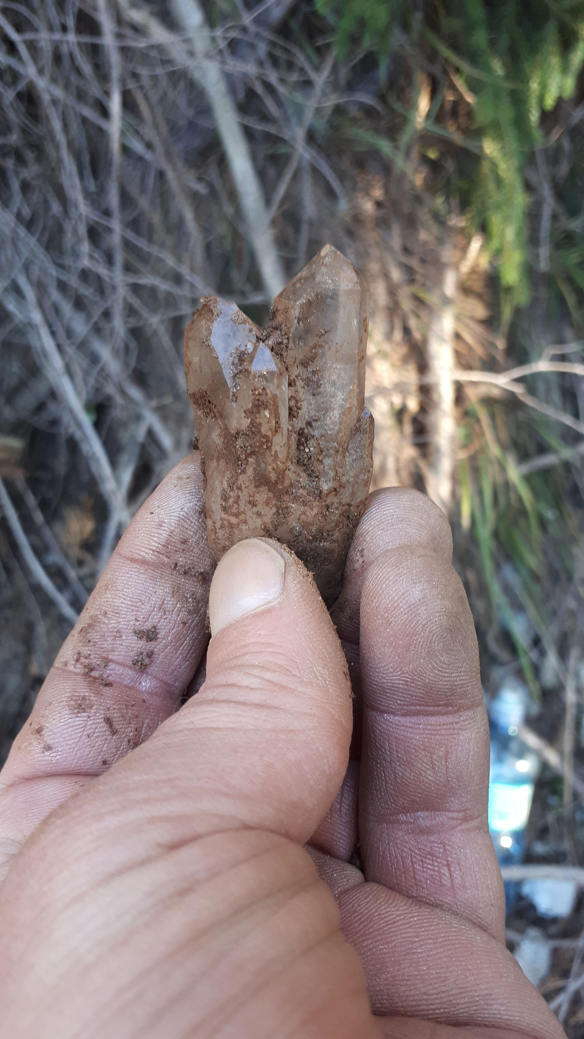 ...another specimen...