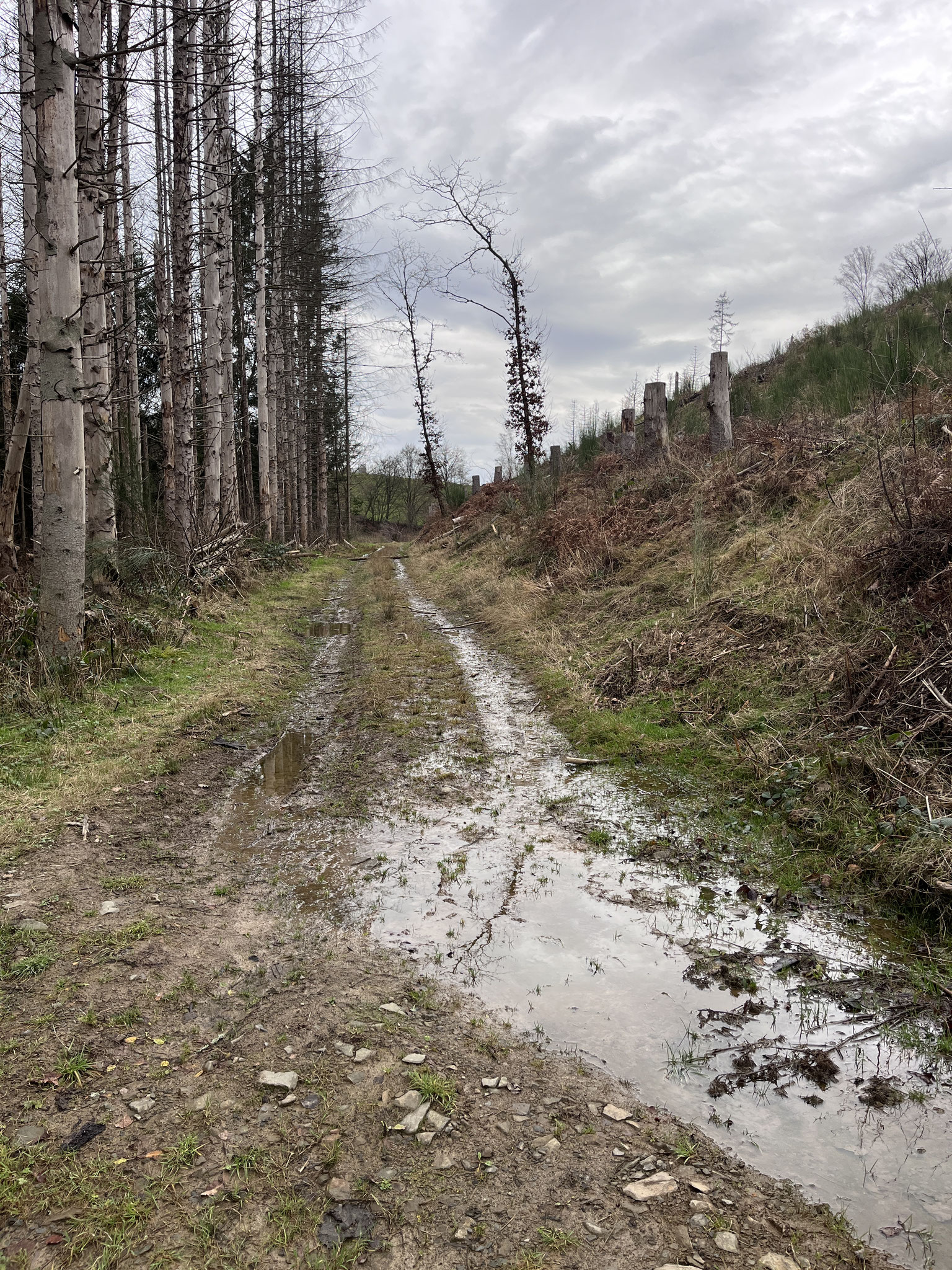 Bruchhausen Bachtal