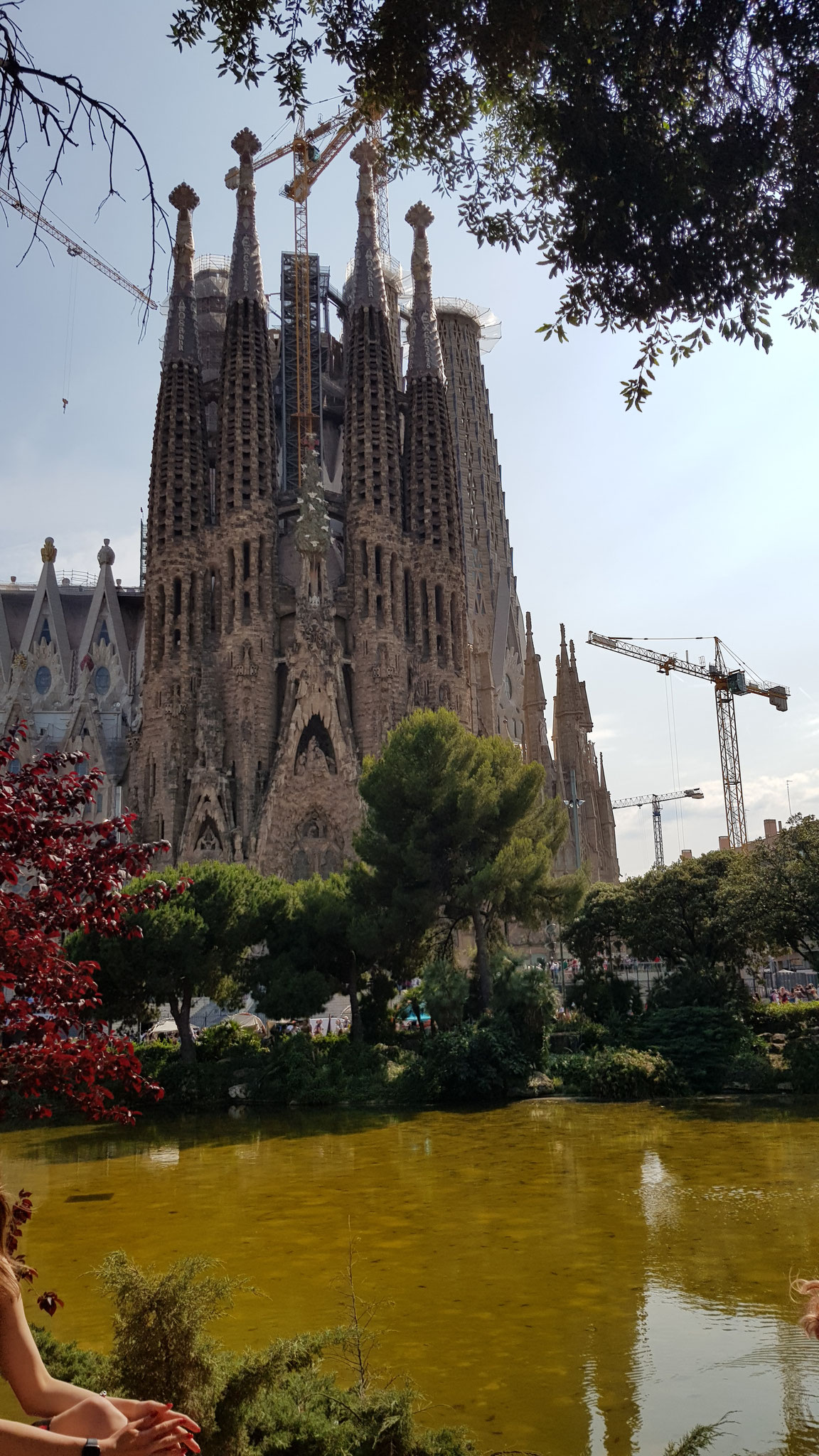 La sagrada Familia depuis le petit parc en face